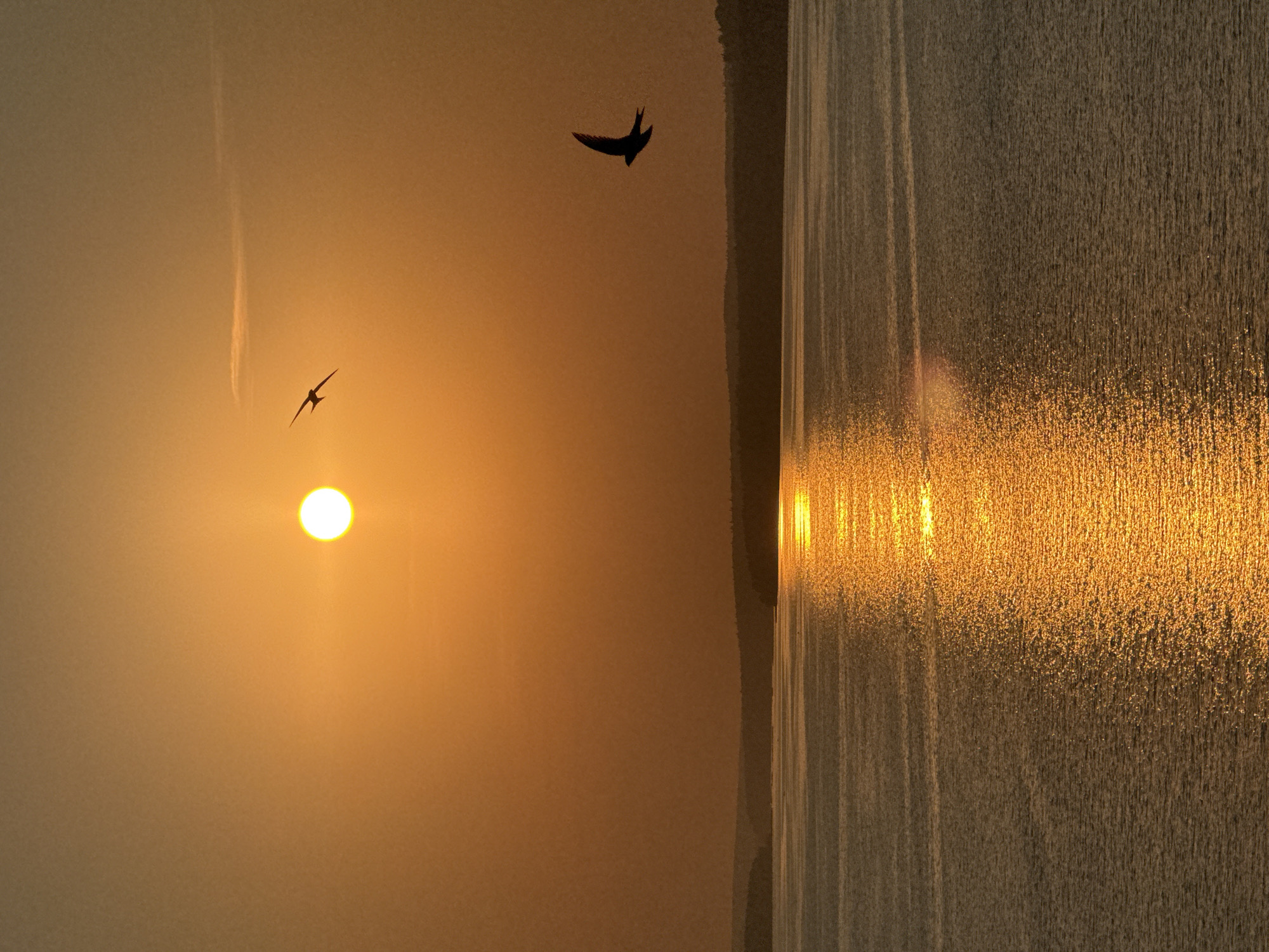 The image depicts a sunset over a body of water, likely a river or lake, in Votkinsk, Russia. The sun, a bright, luminous orb, is positioned in the upper left quadrant of the frame, casting a warm, golden glow across the scene. The sky is a gradient of orange and yellow, with a subtle haze that softens the light. Two birds, silhouetted against the vibrant sky, are in flight. One bird is closer to the sun, appearing smaller and more distant, while the other is larger and closer to the right edge of the frame, its wings spread wide. The water in the foreground reflects the sunlight, creating a shimmering path of gold that stretches towards the horizon. The distant shoreline is visible as a dark, undulating line, dotted with trees, suggesting a natural, undeveloped landscape. The overall impression is one of tranquility and natural beauty.