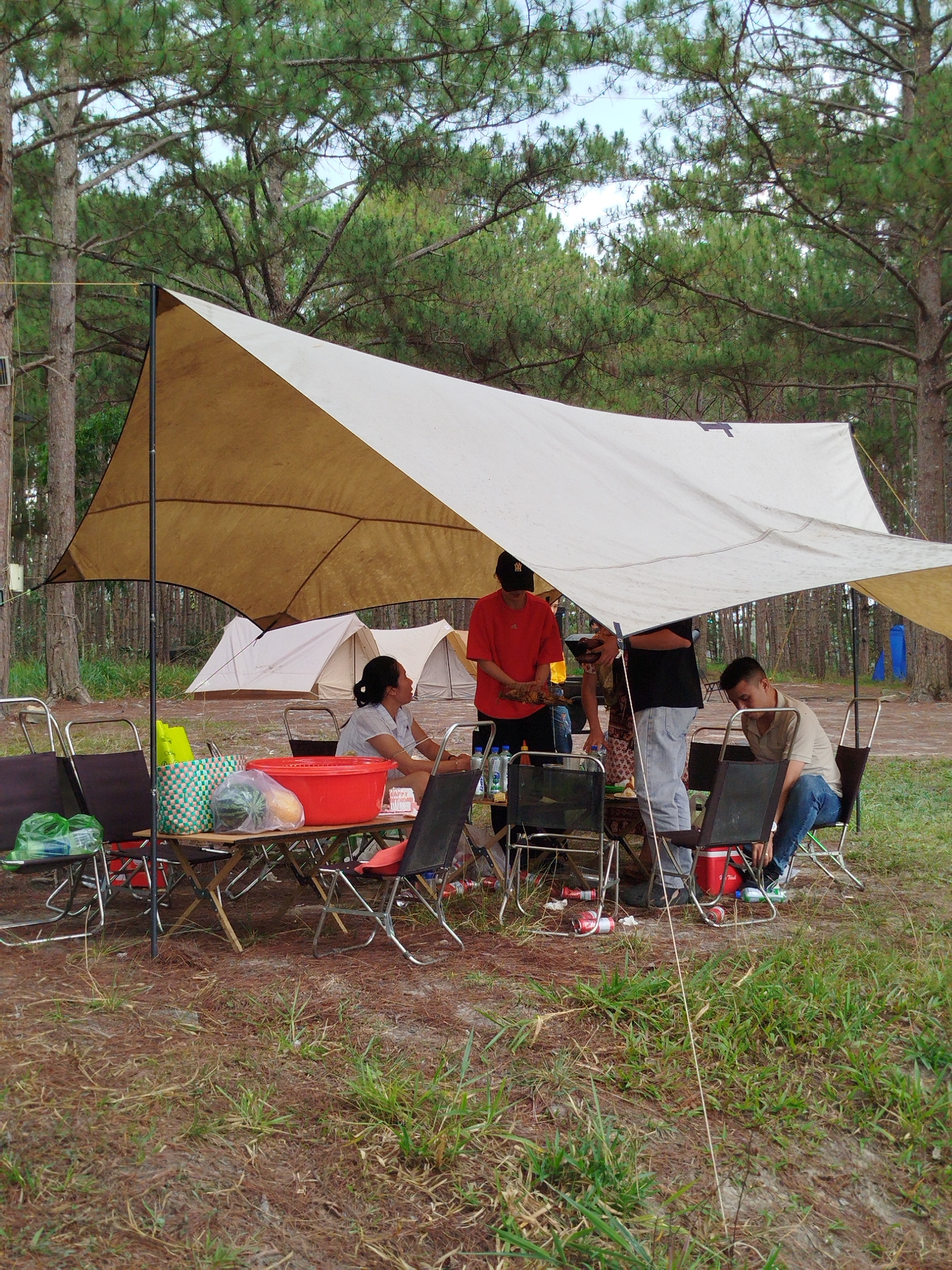 The image shows a group of people camping outdoors, presumably in the vicinity of Da Lat, Vietnam, given the pine tree background.
A large white and beige canopy, supported by poles, provides shade over the campsite. Visible under the canopy are several people seated in folding chairs around a folding table. On the table are food items, including a watermelon, a red basket, and bags of provisions.
Three small tents are visible in the background, behind the table and chairs. The ground is covered with pine needles and patches of grass. Empty soda cans litter the ground near the chairs. The people are dressed casually; one person is wearing a red shirt.