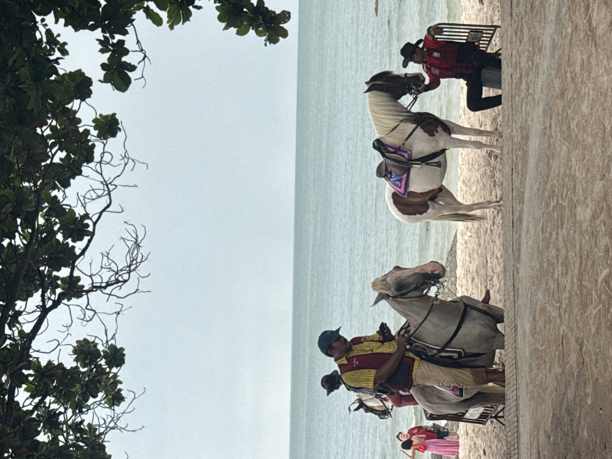 This is a medium-shot, eye-level photograph taken on a sandy beach in Hua Hin City Municipality, Thailand. The scene depicts horse-riding activities with two horses prominently featured. In the foreground, a man wearing a blue cap, yellow shirt, and a maroon vest is seated on a light gray horse, looking down at his phone. To the right, a brown and white horse with a saddle is standing, and a man in a red shirt and black hat is seated on a black chair beside it, leaning towards the horse. In the background, the turquoise ocean stretches to the horizon under an overcast sky. Two people, a woman in a pink dress and a man in a dark shirt, are visible to the left, near another horse. The foreground includes a paved walkway. Green foliage from a tree hangs over the top of the image. The overall atmosphere is casual, suggesting a recreational area on the beach.