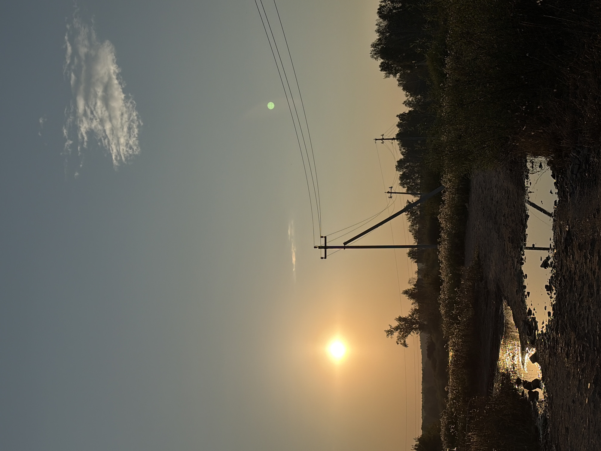 The image captures a sunset scene in Malyshevo, Russia. The sun, a bright orb with a strong halo, is positioned in the left half of the frame, casting a warm, orange glow across the sky and landscape. The sky transitions from a pale yellow near the horizon to a muted blue overhead, with a single wispy cloud visible.
In the mid-ground, a dirt road or path is visible, leading towards a line of trees in the distance. Puddles of water on the path reflect the sunlight, creating shimmering patterns. Several utility poles with power lines stretch across the scene, with one prominent pole situated closer to the foreground. The poles are silhouetted against the sky.
The foreground is dominated by the rough texture of the dirt path and the edges of puddles. To the right, dense vegetation, including bushes and tall grasses with seed heads, creates a dark silhouette against the brighter background. The overall atmosphere is one of rural tranquility, enhanced by the warm hues of the setting sun. There are no people or animals visible in the frame.