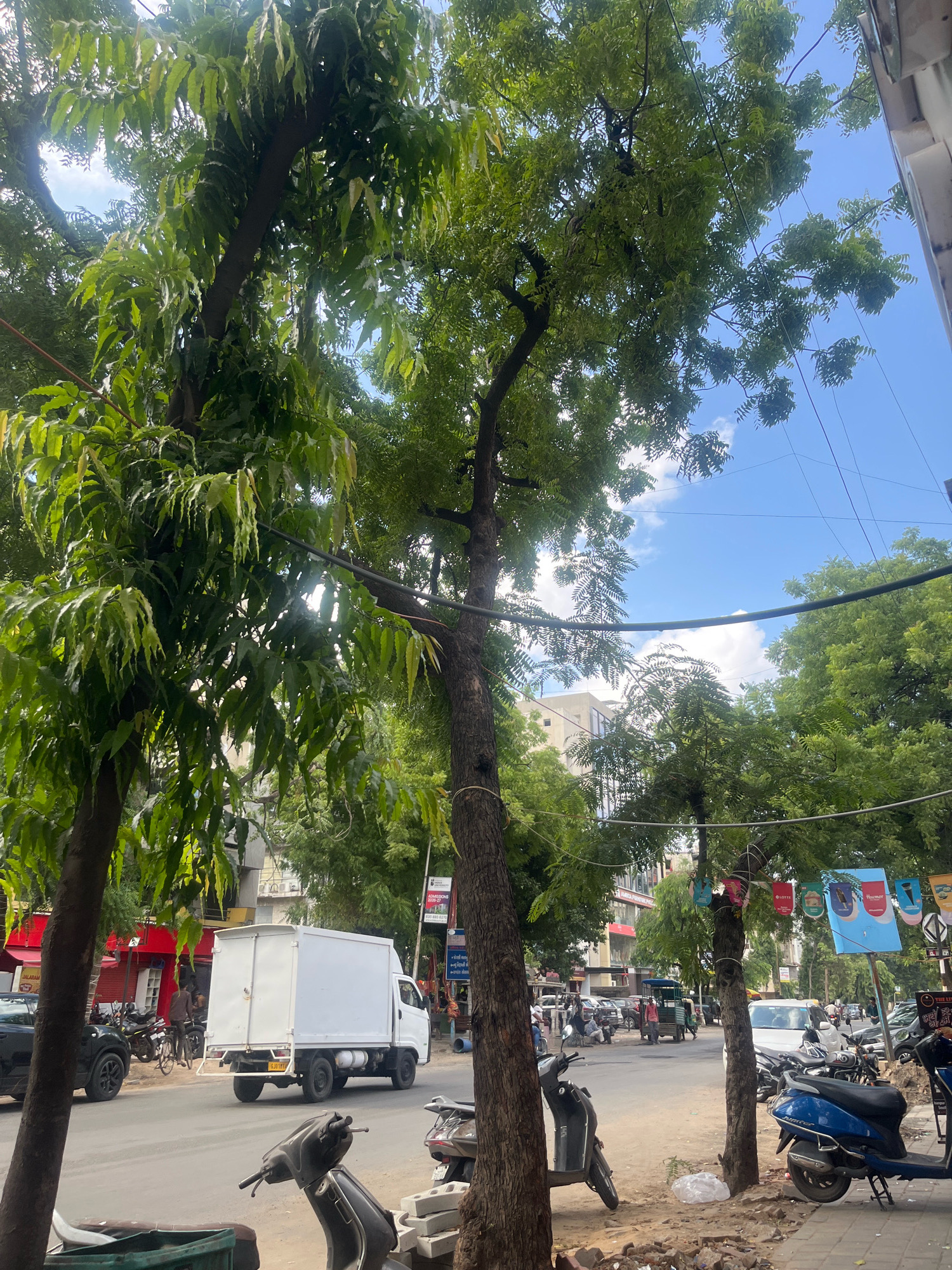 The image depicts a street scene in Navrangpura, India, likely on a bright day with scattered clouds. In the foreground, a large tree with dense green foliage dominates the left side of the frame. The road is paved and carries moderate traffic. A white truck with a large cargo box is moving on the right side of the road. Several motorcycles and scooters are parked along the sidewalk on the right. Buildings line the street, with shops and some advertisements visible. The overall impression is that of a bustling urban environment with a significant presence of greenery.