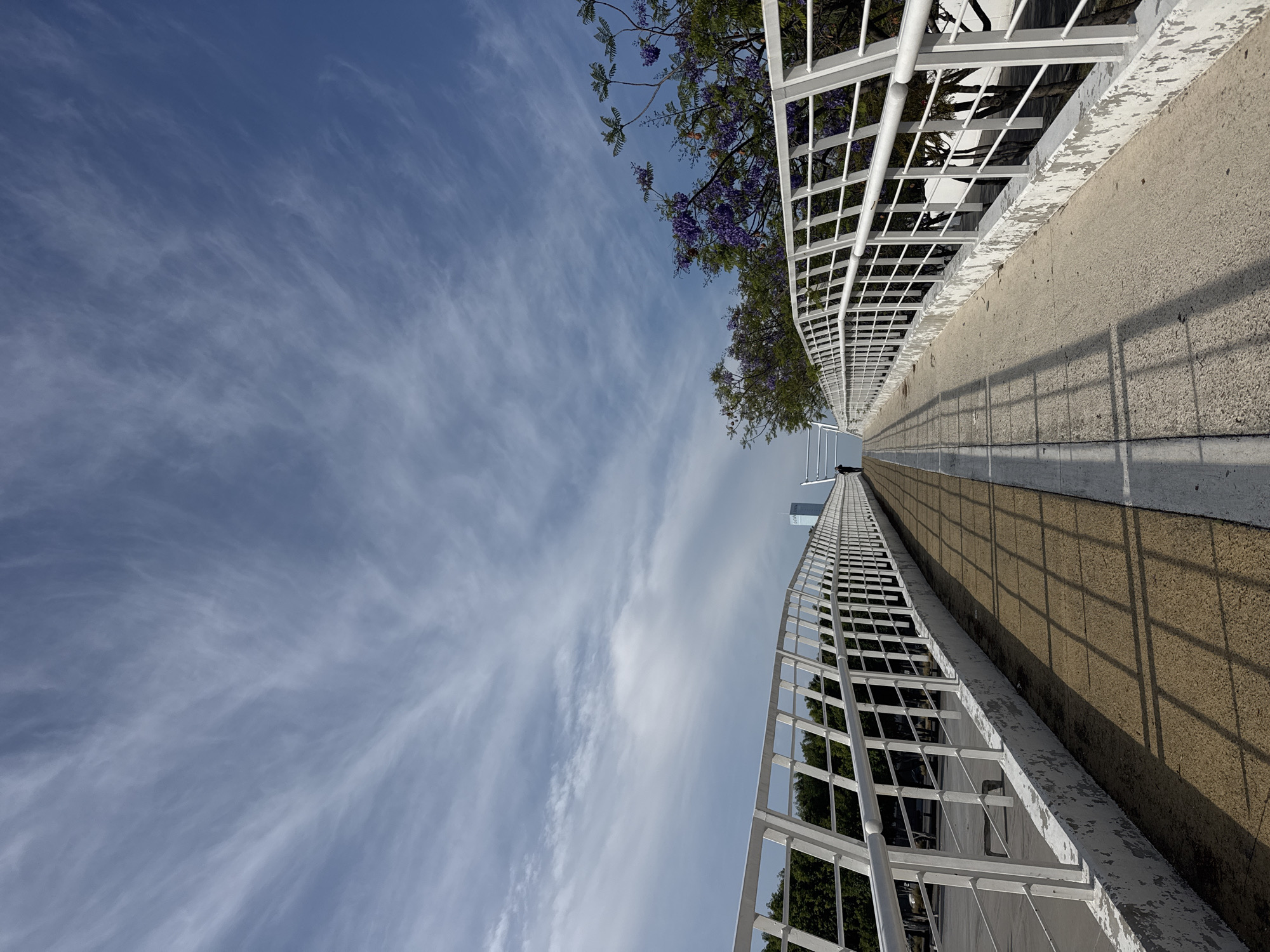 An angled eye-level shot depicts a pedestrian bridge in Puebla, Mexico. The walkway has a textured brown path and white railing on either side with a concrete ledge. Shadows of the railing fall onto the path. A tall building is visible in the distance. A tree with purple flowers overhangs the bridge. The sky is light blue and contains streaky clouds.