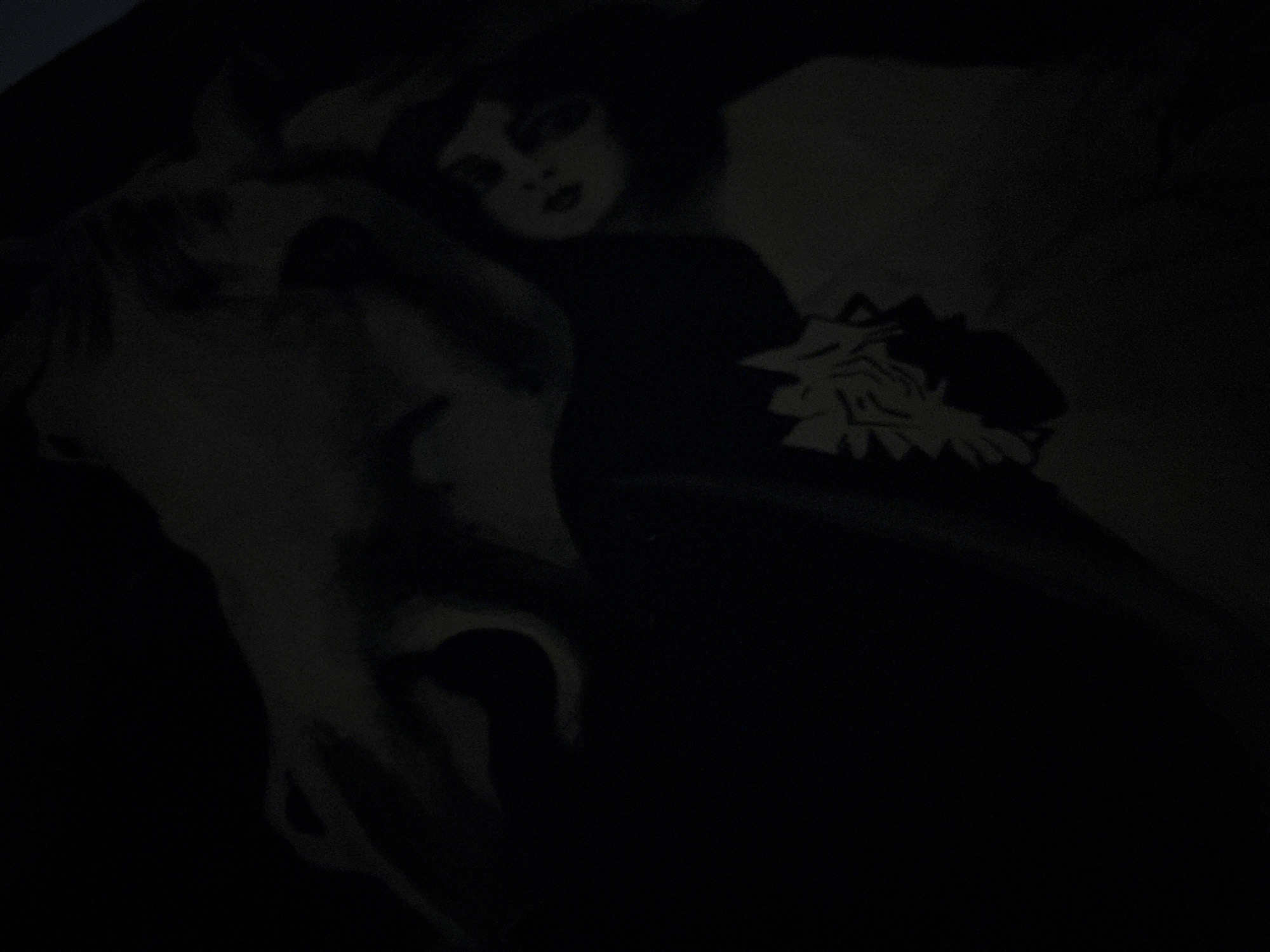The image is a dark, low-light photograph that appears to be a print or artwork, possibly on fabric. It depicts a stylized image of a person with dark hair and facial features, including eyes and lips, visible in the upper right portion of the frame. Below this figure, to the left, is a complex, somewhat abstract shape that could be interpreted as a flower or a crown. The overall tone is somber and artistic, with large areas of blackness. There is no discernible location within the city of Alaverdi, Armenia, present in this image.