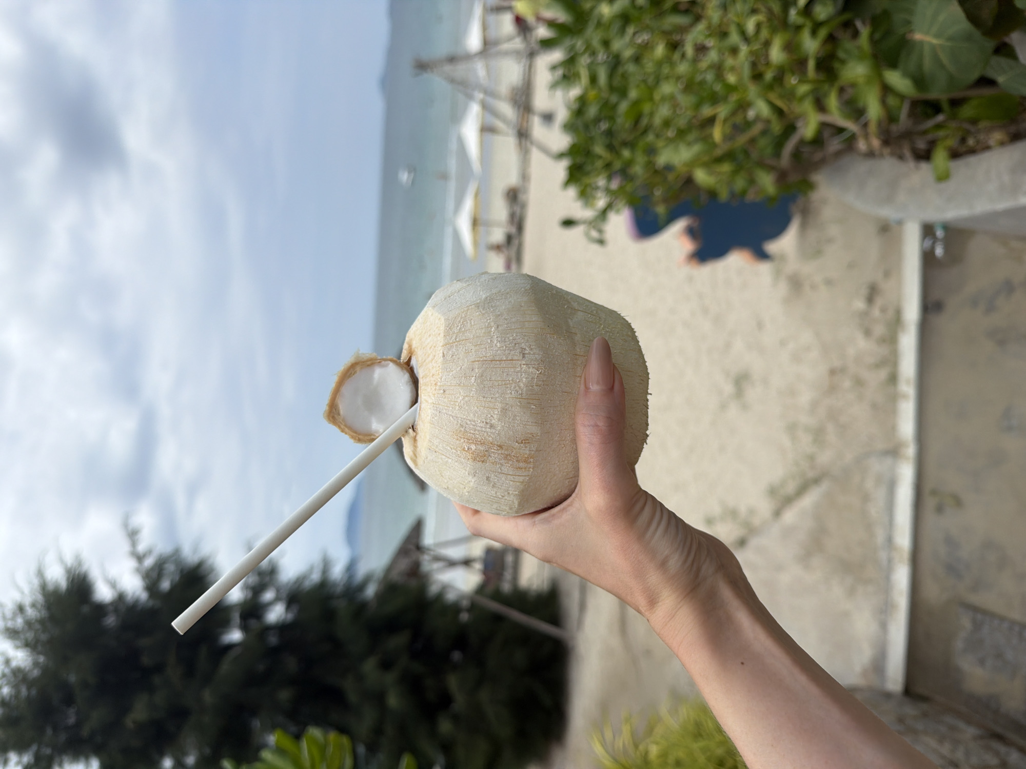 A person's hand is holding a whole young coconut with a white straw inserted into it. The coconut is the primary subject in the foreground. In the background, a sandy beach is visible with several white beach umbrellas and lounge chairs. A large tree with dark green foliage stands to the left of the frame. The ocean and a cloudy sky are in the distance. The scene appears to be a tropical beach resort. The location of Dong Ninh Hoa Ward, Vietnam, is inferred from the presence of a beach resort setting.