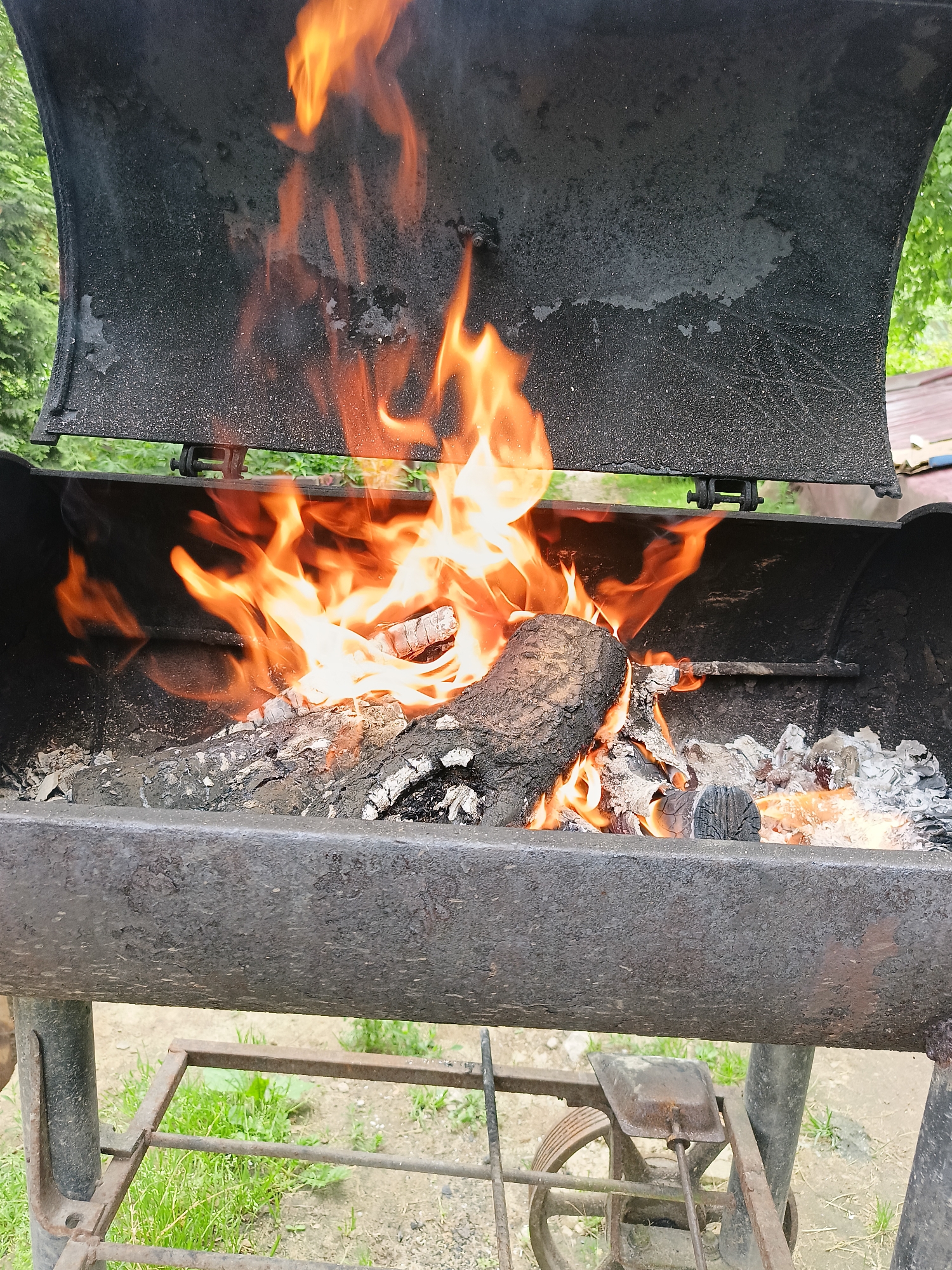 A close-up, eye-level shot captures the interior of an open, weathered barbecue grill with a fire burning. The grill, made of dark, heavily used metal, is filled with glowing embers and several pieces of burning wood, emitting bright orange and yellow flames. A large log rests prominently in the center of the fire. The interior of the grill's lid is visible, also stained and textured from past use. The background is blurred, showing hints of green foliage, suggesting an outdoor setting. The scene appears to be in a natural or semi-natural environment, with the ground beneath the grill being a mix of dirt and sparse grass. There is no indication of any specific location within the city of Lagovskoe, Russia.