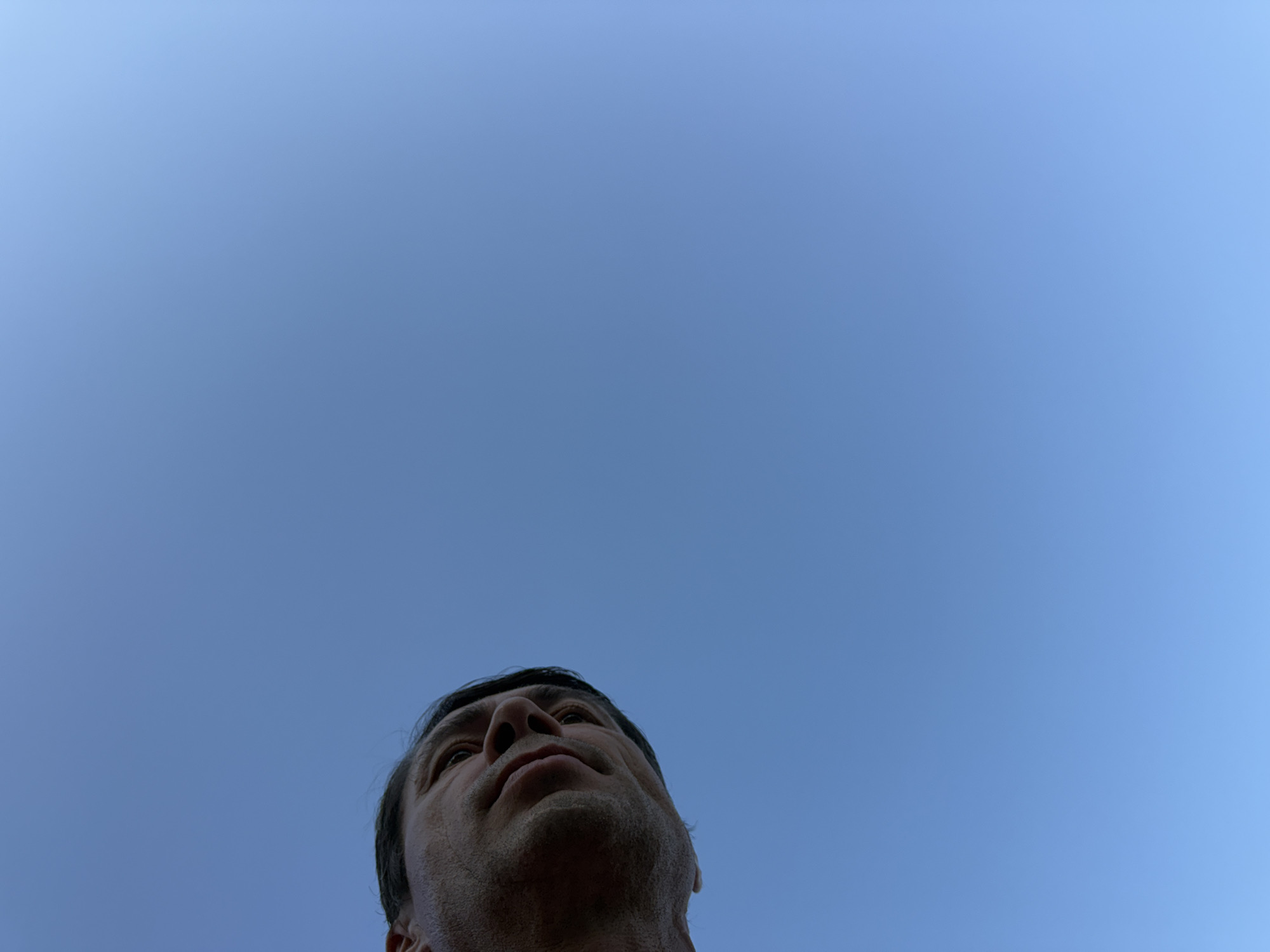 A low-angle, close-up shot captures the head and shoulders of a man against a clear blue sky. The man's face is partially visible, turned towards the left side of the frame, with his gaze directed upwards. His hair is dark and appears short. The background is a solid expanse of bright blue sky, devoid of any clouds or discernible features. The lighting suggests it is daytime, with no specific environmental details visible to determine a precise location within Boreti, Montenegro.