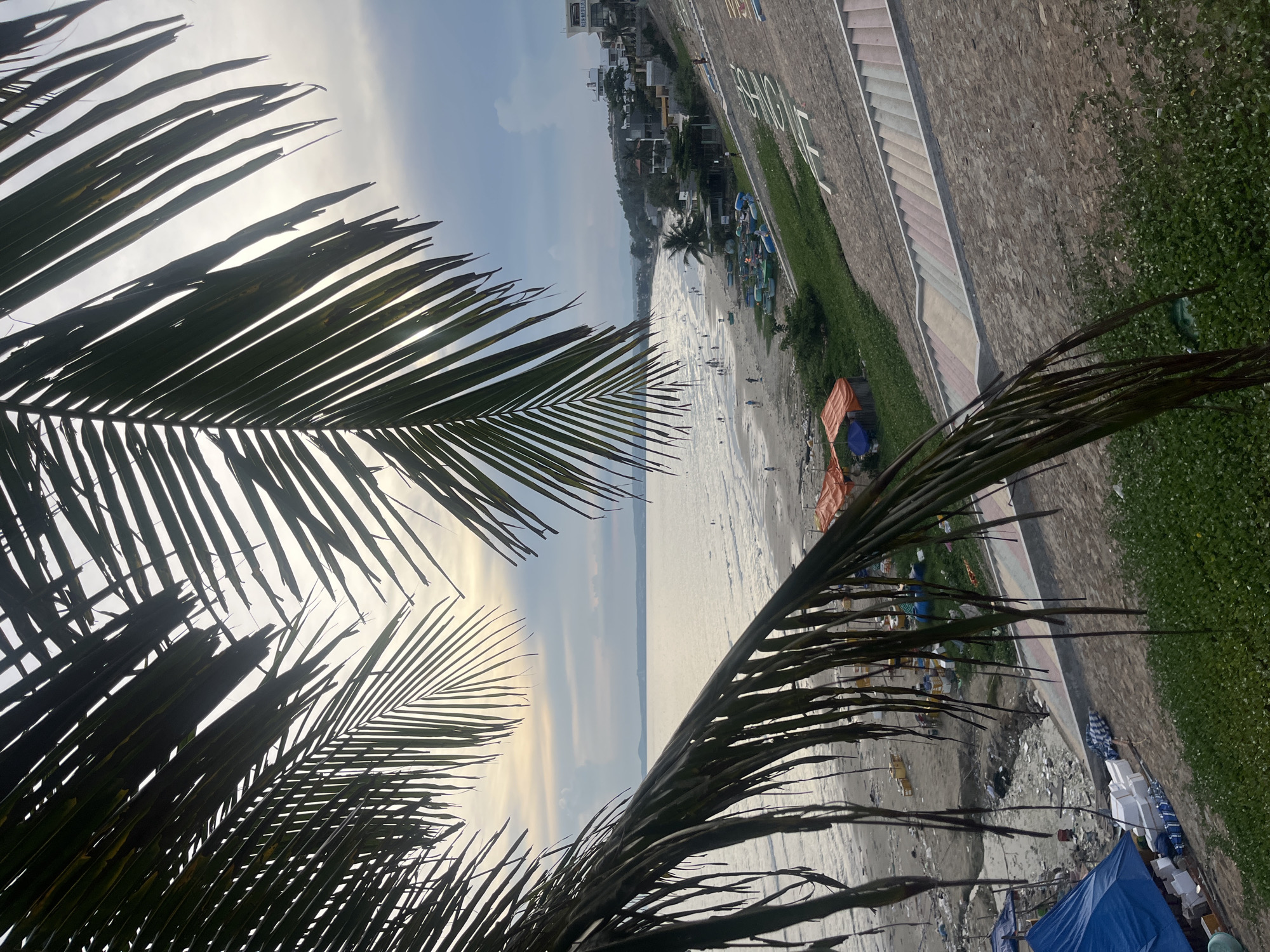 The image captures a view of Mũi Né beach in Vietnam, framed by the fronds of palm trees in the foreground. The scene depicts a shoreline with several people walking along the sandy beach and wading in the gentle waves of the ocean. Numerous small fishing boats are visible on the sand near the water's edge, some with their nets and gear laid out. In the background, a line of buildings, including hotels and residences, are situated along the coastline, suggesting a developed tourist area. The sky is partly cloudy with a soft, diffused light, indicating it might be early morning or late afternoon. To the right, a constructed embankment with a colorful staircase leads up from the beach, separating it from the higher ground where more vegetation and buildings are present. Some tents and temporary shelters are also visible on the beach, possibly used by local vendors or fishermen. The overall impression is of a tranquil coastal scene with elements of local life and tourism.