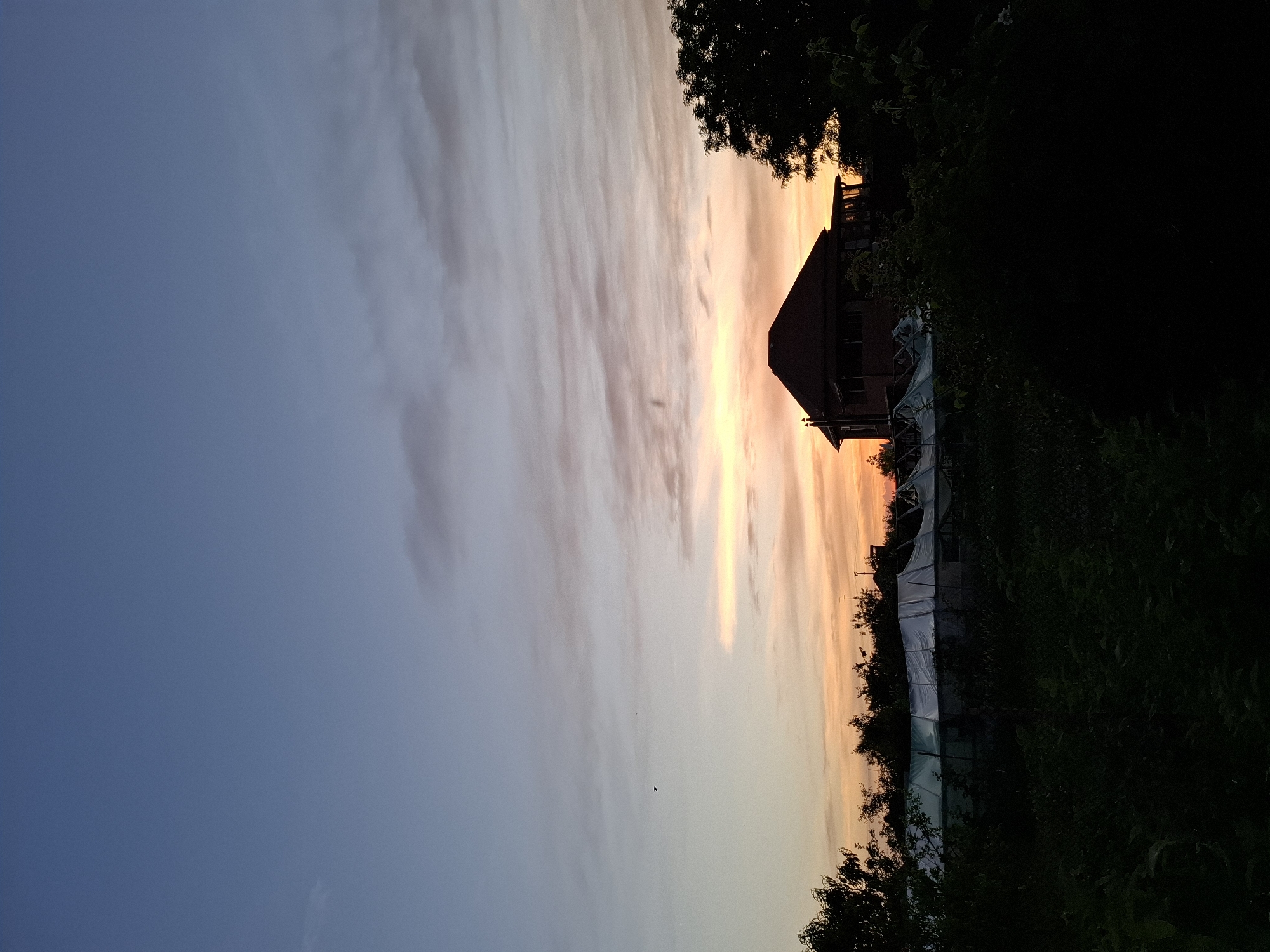 This is a landscape photograph taken at sunset, oriented vertically. The sky dominates the left half of the image, transitioning from a deep blue at the bottom to lighter shades of pink and orange towards the top. Wispy clouds stretch horizontally across the sky, catching the warm hues of the setting sun. A small, dark silhouette of a bird is visible in the sky.
On the right side of the image, a silhouetted house with a dark roof is visible against the colorful sky. Trees and dense foliage form a dark, shadowy foreground, obscuring much of the ground and the lower parts of the house. A white tarp or covering is visible stretching along a fence line behind the trees, possibly indicating a greenhouse or some form of outdoor structure. The overall impression is of a rural or suburban setting at dusk. The warm colors in the sky suggest a peaceful and serene end to the day. No visible text is present in the image. The location is identified as Korenovsk, Russia.