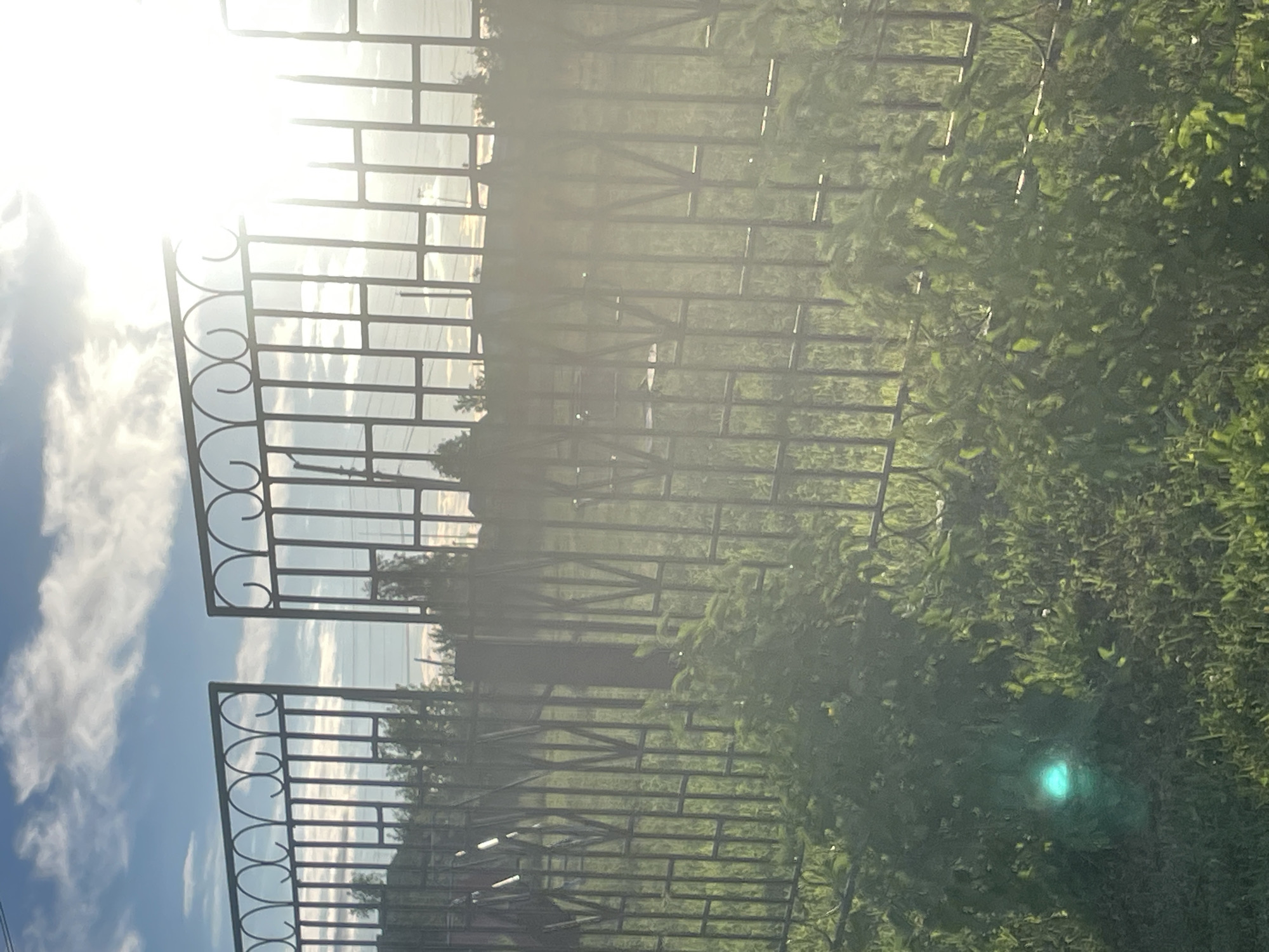 A black metal gate, open in the center, stands in the foreground of a sunlit outdoor scene. The gate has vertical bars and decorative curved elements at the top. Beyond the gate, a grassy area is visible, with some greenery encroaching on the lower part of the gate. In the background, there are trees and structures, possibly houses, silhouetted against a bright sky. The sun is positioned in the upper right quadrant of the image, causing a strong glare and lens flare that obscures details in that area. The sky is blue with some scattered white clouds. The overall impression is of a sunny day, possibly in a rural or suburban setting.