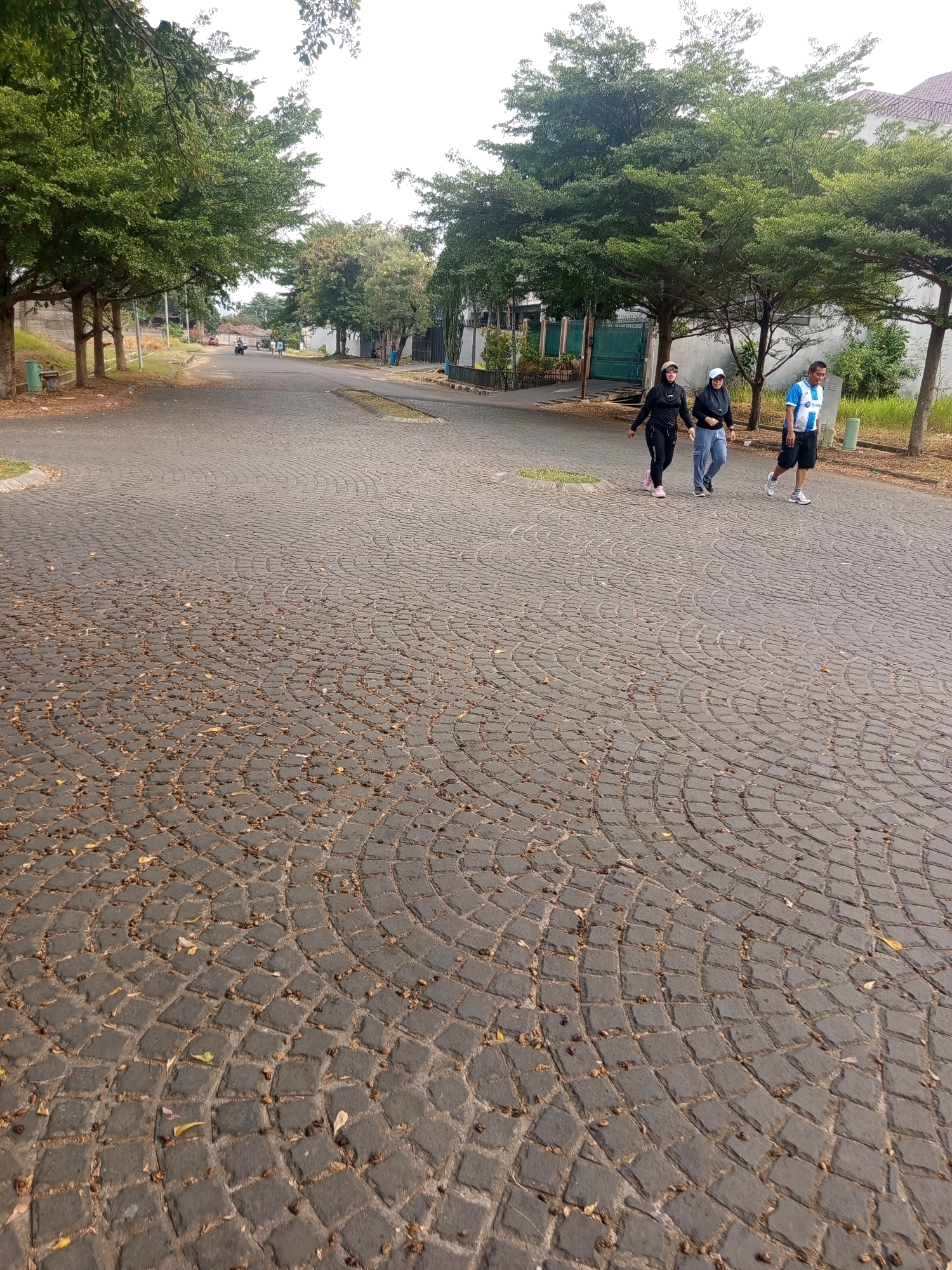 The image depicts a paved street in West Jakarta, Indonesia, with three individuals walking. The street is paved with dark cobblestones arranged in a circular pattern, with fallen leaves scattered across the surface. On the left side of the street, several tall trees with lush green foliage line the road, and a short wall is visible. On the right side, more trees and a building with a beige-colored roof are present.
The three individuals are walking away from the camera, towards the background. The person on the left is wearing a black hijab, black long-sleeved top, black pants, and pink shoes. The middle person is wearing a light-colored hijab, a dark hooded jacket, and light gray pants. The person on the right is a male wearing a blue and white patterned short-sleeved shirt, black shorts, and white sneakers. They appear to be walking casually.
In the background, a motorcycle is visible in the distance, and some houses with fences are present. The sky is overcast, suggesting a cloudy day. The overall scene appears to be a quiet residential street, possibly in the morning or late afternoon, given the soft lighting.