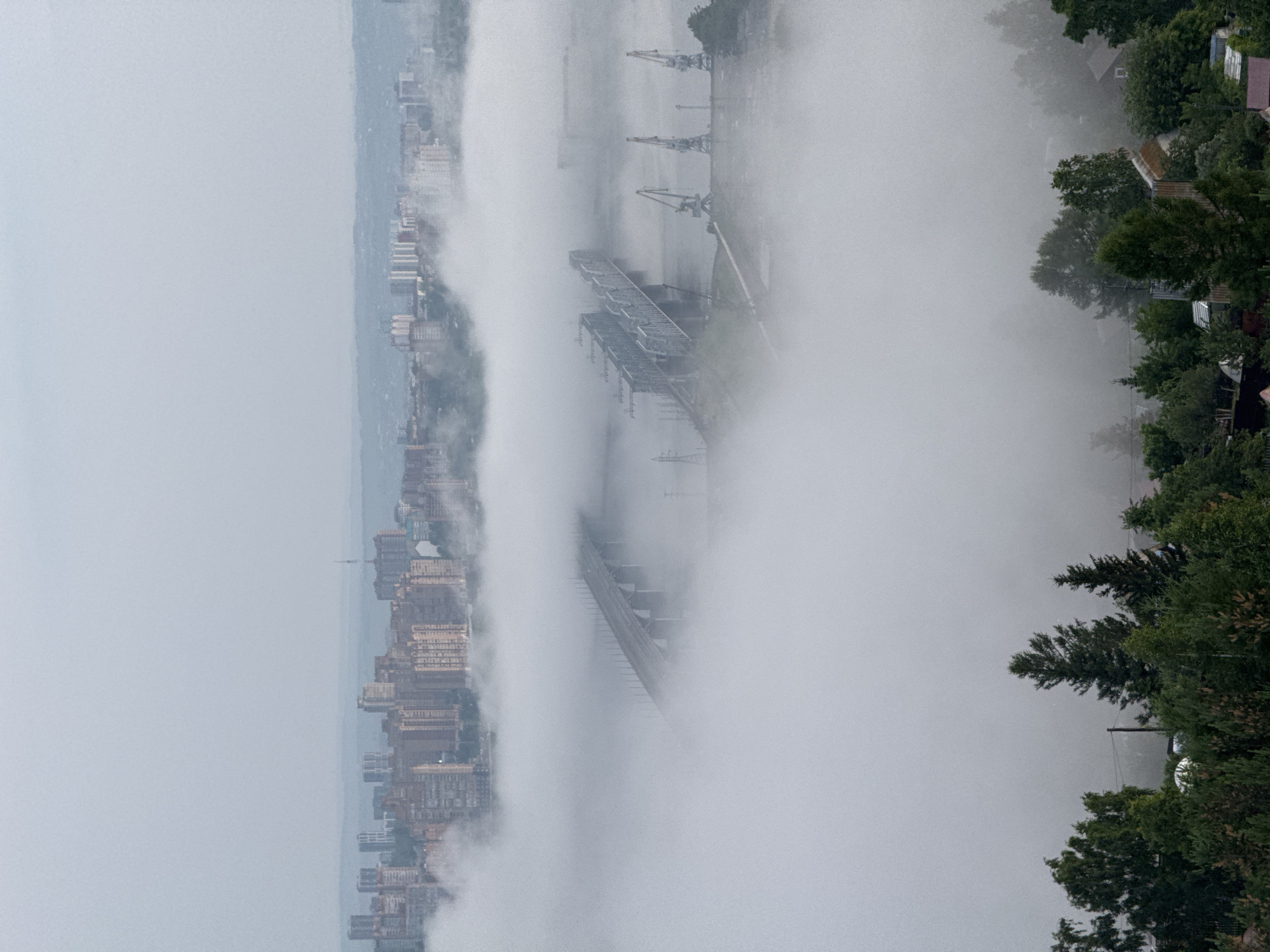An aerial, wide shot captures a dense fog obscuring a city's landscape in Krasnoyarsk, Russia. The fog blankets the lower portions of the frame, giving the impression of an ethereal sea from which structures emerge.
In the mid-ground, a prominent railway bridge crosses the obscured water. Its steel structure is partially visible, with the fog swirling around its supports. To the right of the bridge, a cluster of industrial cranes are visible, their tall silhouettes piercing the mist.
Further back, the upper floors of apartment buildings and other city structures rise above the fog. These buildings appear to be of moderate height and density, suggesting an urban area. A faint, distant skyline with taller structures is visible at the horizon, almost blended with the overcast sky.
In the foreground, a dense canopy of green trees and foliage obscures the very bottom of the image. A few indistinct shapes, possibly vehicles or small buildings, are barely discernible through the trees, hinting at a residential or fringe area of the city. The overall atmosphere is muted and grey due to the pervasive fog and overcast conditions.