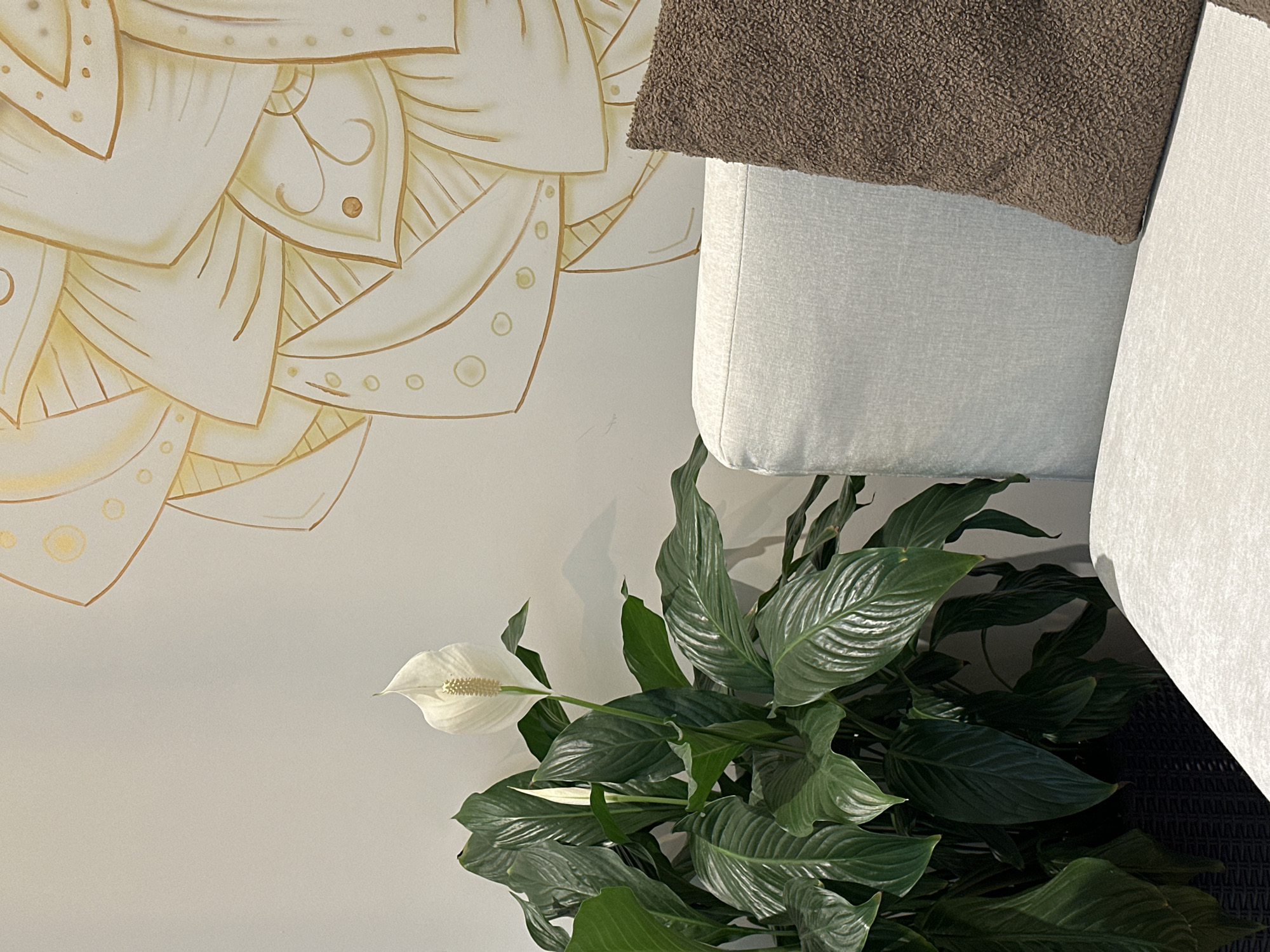 A photograph taken from an elevated, slightly oblique angle showcases a domestic interior. A portion of a wall, adorned with a stylized floral motif in cream and gold hues, occupies the left side of the frame. Adjacent to the wall, a section of light-colored upholstered furniture is visible, partially covered by a brown textured throw. In the lower portion of the image, a peace lily plant, characterized by its glossy green leaves and a single white flower, is prominently featured. The location is presumed to be within the city of Sofia, Bulgaria, although there are no explicit contextual clues within the image itself to confirm this. No people are depicted.