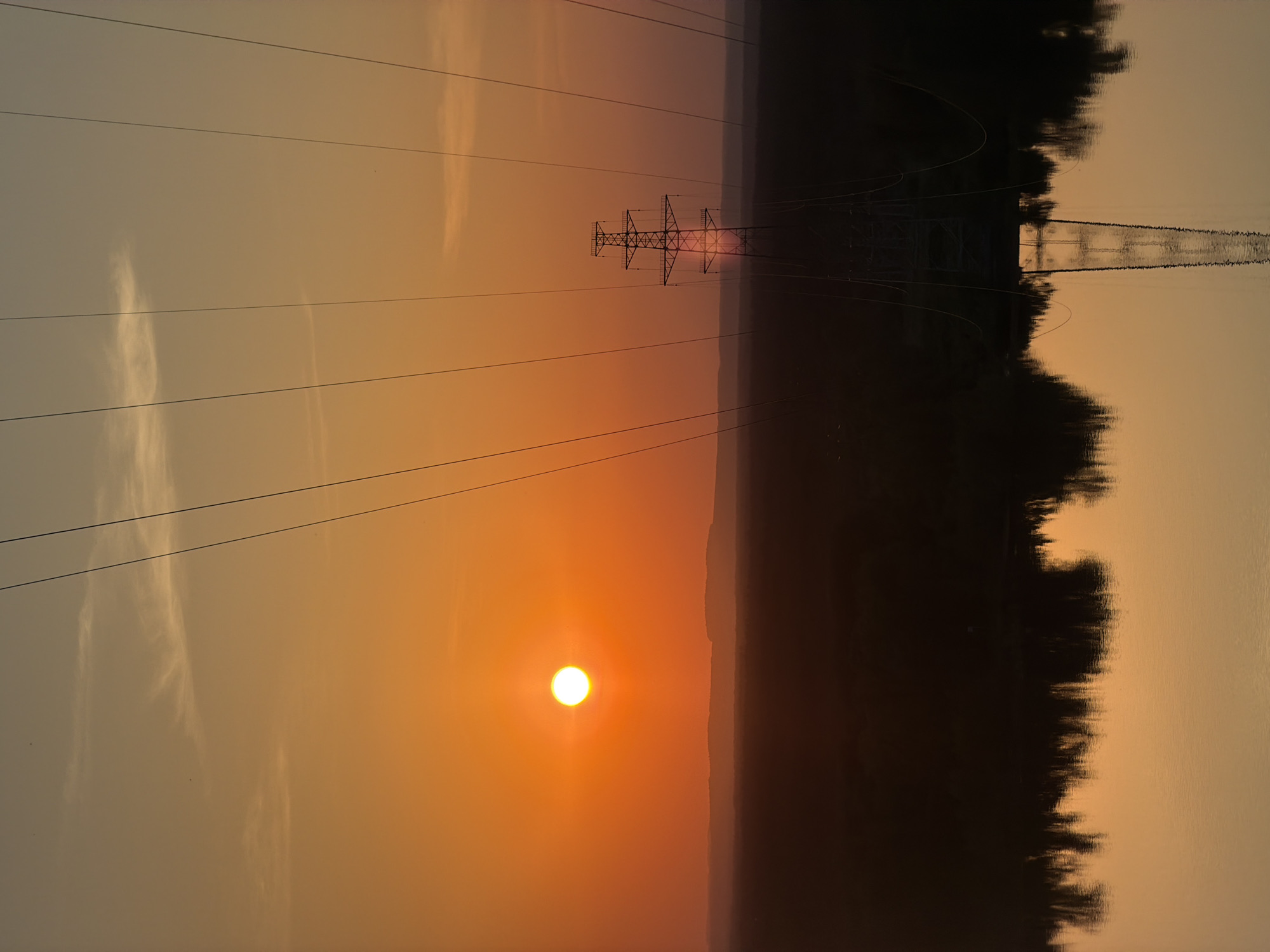 The image depicts a sunset scene with power lines and a utility pole in the city of Noviy, Russia. The sun is low on the horizon, casting an orange glow across the sky. A row of tall trees or a forest line is visible on the right side of the frame, appearing as a dark silhouette against the light. Power lines stretch across the sky, and a utility pole is centrally positioned in the image. The overall environment suggests a rural or suburban area near the city limits.