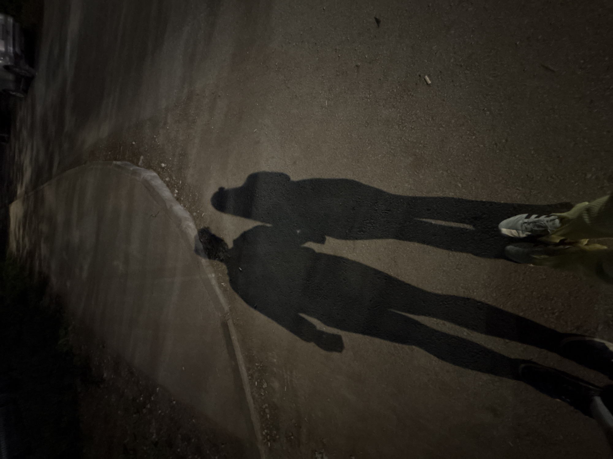 Two elongated shadows of people are cast on an asphalt surface. The shadows suggest the figures are standing, and one appears to be wearing shoes with a visible sole pattern, while the other wears darker footwear. The shadows stretch across the paved area, possibly a sidewalk or street. The scene is dimly lit, likely at night, indicated by the prominent shadows. A curb runs along the left side of the image, bordering a darker area possibly containing vegetation. The location, Perm, Russia is not possible to determine based on the provided image.