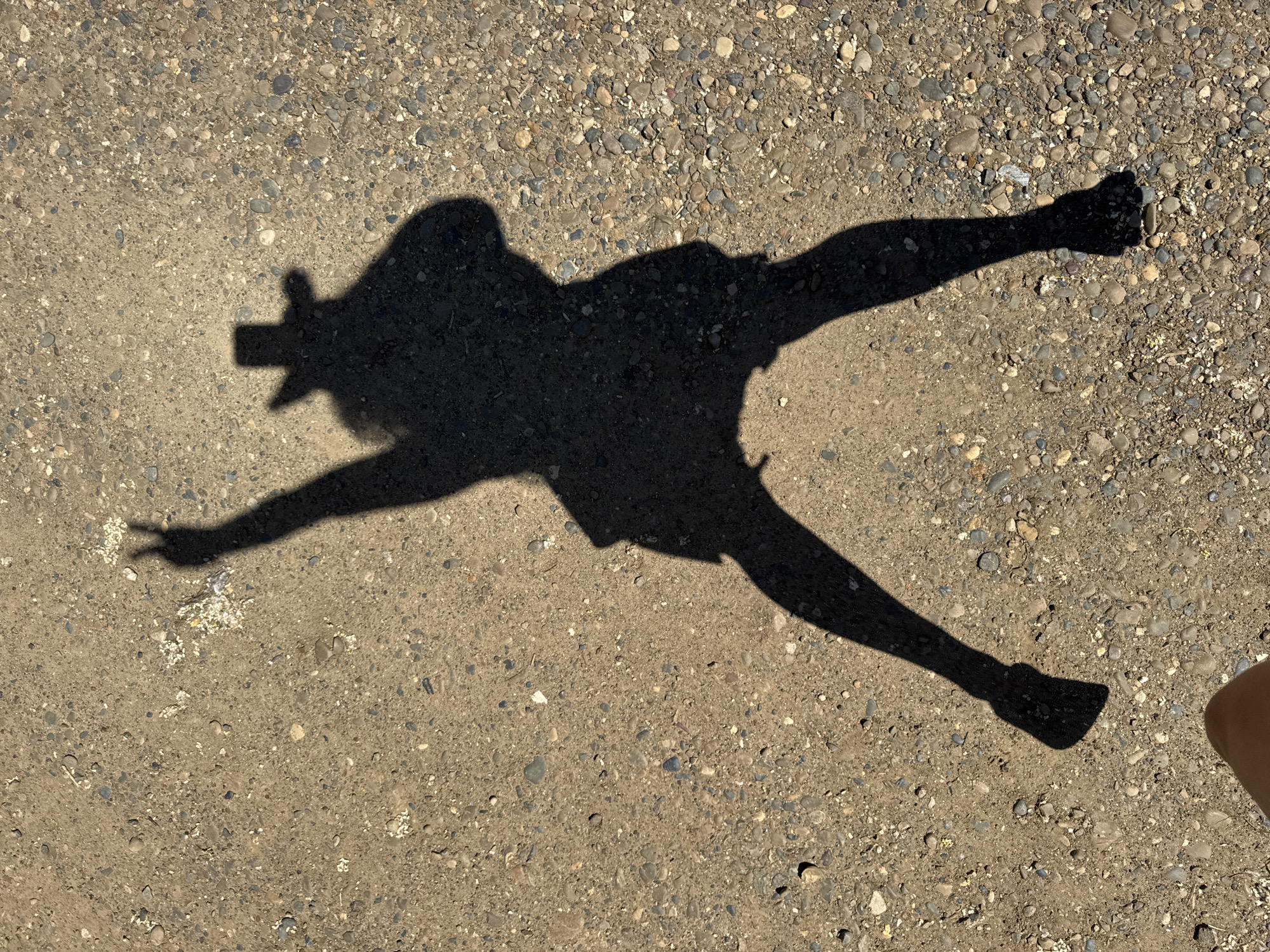 The image is an overhead shot of a shadow on a gravelly, dirt ground. The shadow depicts a person wearing a cowboy hat and holding a phone, which is likely how the photo was taken. The shadow's right arm is raised with two fingers extended in a peace sign. The person's legs are spread apart in a dynamic pose. There is no indication of the city of Chaikovsky, Russia, in the image.