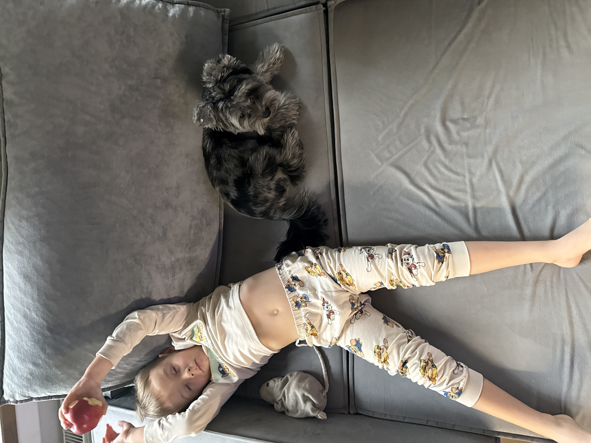 A young boy is lying on a gray sofa with his eyes closed, an apple in his right hand, and a stuffed toy to his left. He is wearing light-colored pajamas with cartoon characters. A small, dark-colored dog is lying on the sofa to the boy's right. The scene appears to be indoors, in what is likely a living room.
