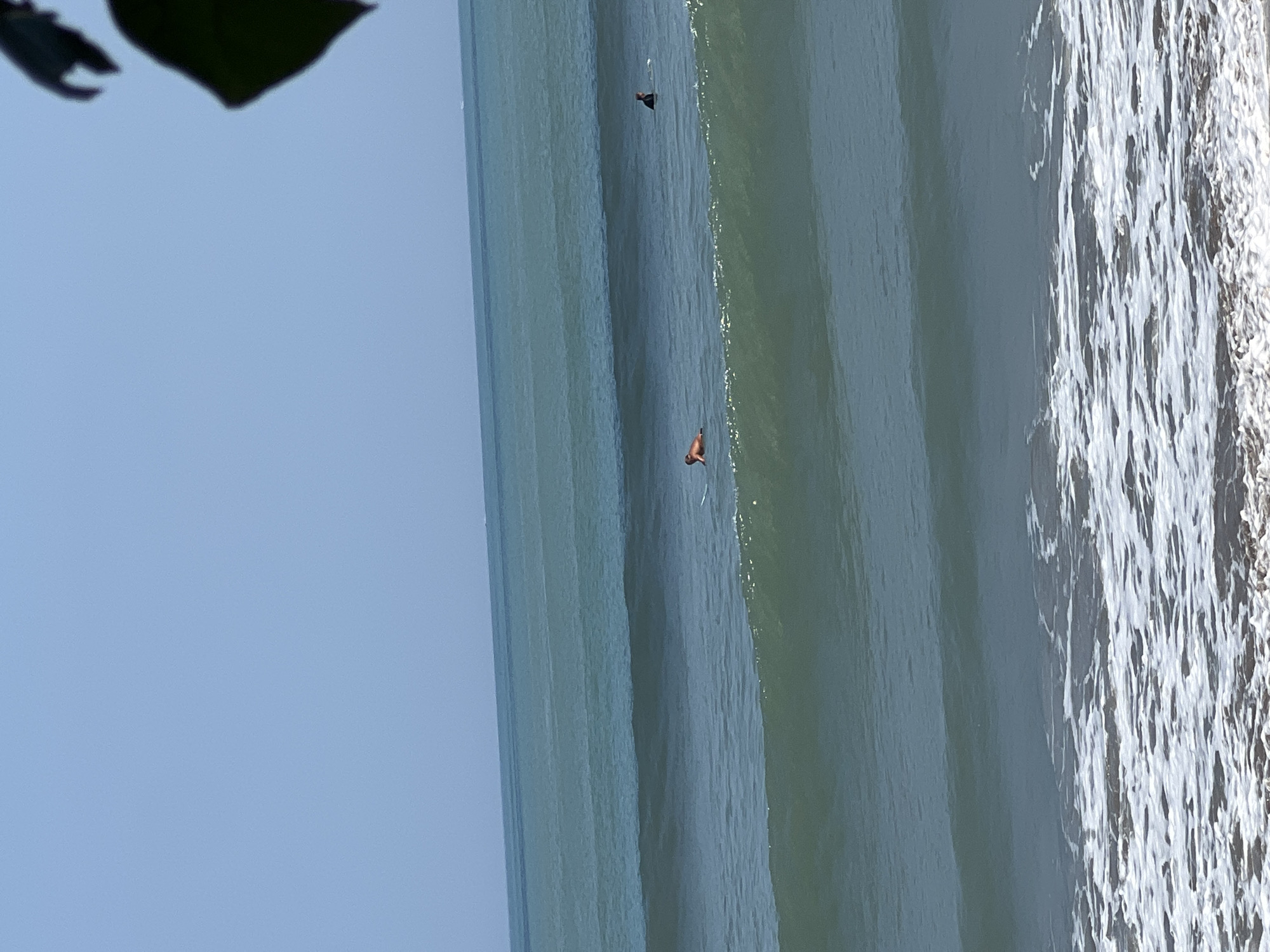 In the city of Kuta, Indonesia, two individuals are visible on surfboards in the ocean under a clear blue sky. The foreground shows the foamy white crests of waves breaking on the shore, with dark sand visible beneath the water. In the mid-ground, one surfer, wearing dark clothing, is positioned further out to sea. Closer to the shore, another surfer, appearing to be sunbathing on their board, is visible. The ocean stretches to the horizon, with distinct lines of waves indicating the ongoing surf. A few dark green leaves are visible in the upper right corner of the frame, suggesting the presence of foliage near the viewpoint.