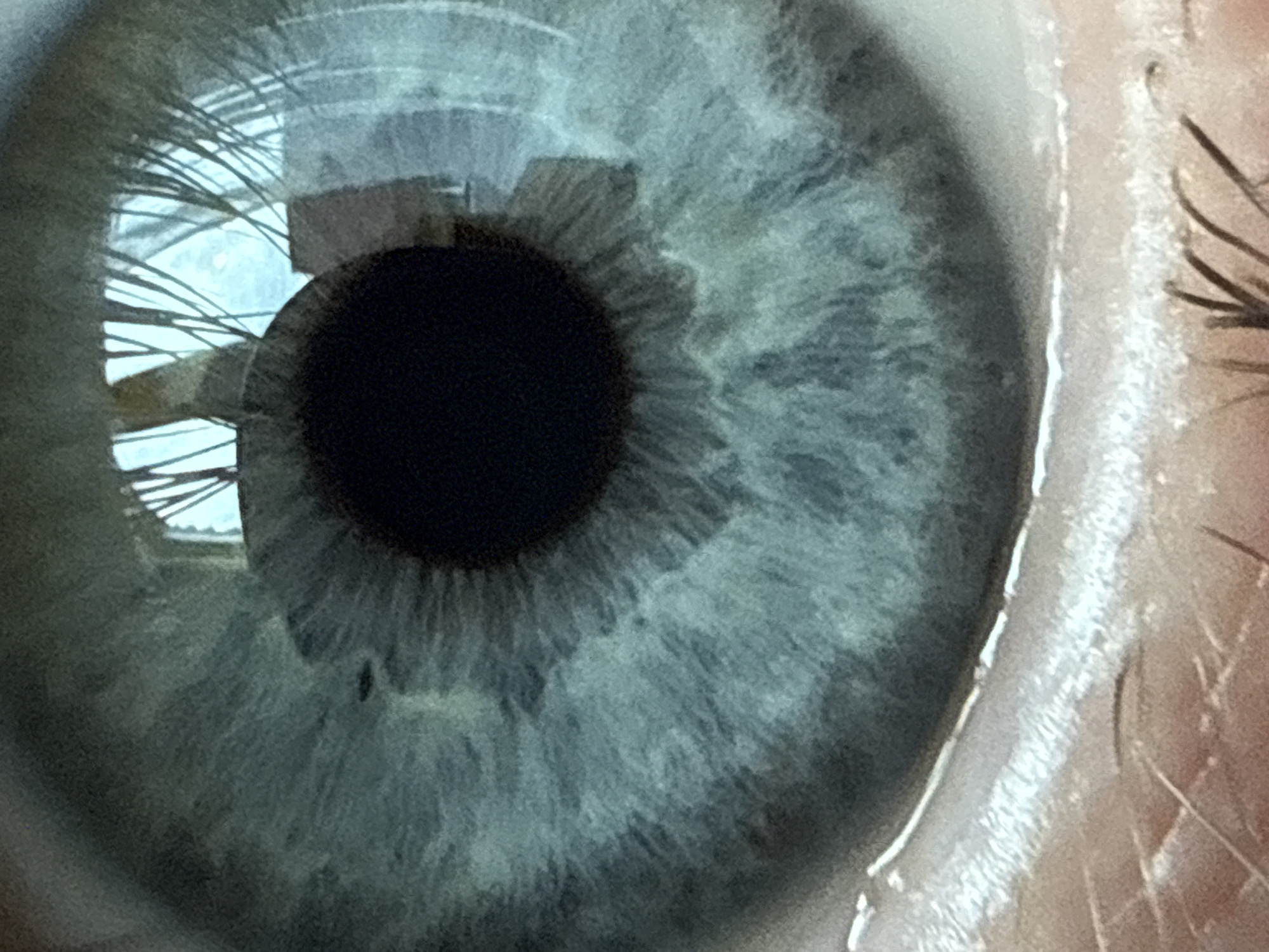 Close-up of a human eye with a predominantly gray-blue iris and a black pupil. The iris exhibits a textured, striated pattern. A bright reflection obscures part of the iris, showing the outline of window frames and multiple horizontal lines, which might indicate blinds or a curtain. A few eyelashes are visible to the right side of the image, next to the white sclera, which appears slightly moist. The surrounding skin has a light tone. There is no evidence to link this image to the city of Tyulyuk, Russia.