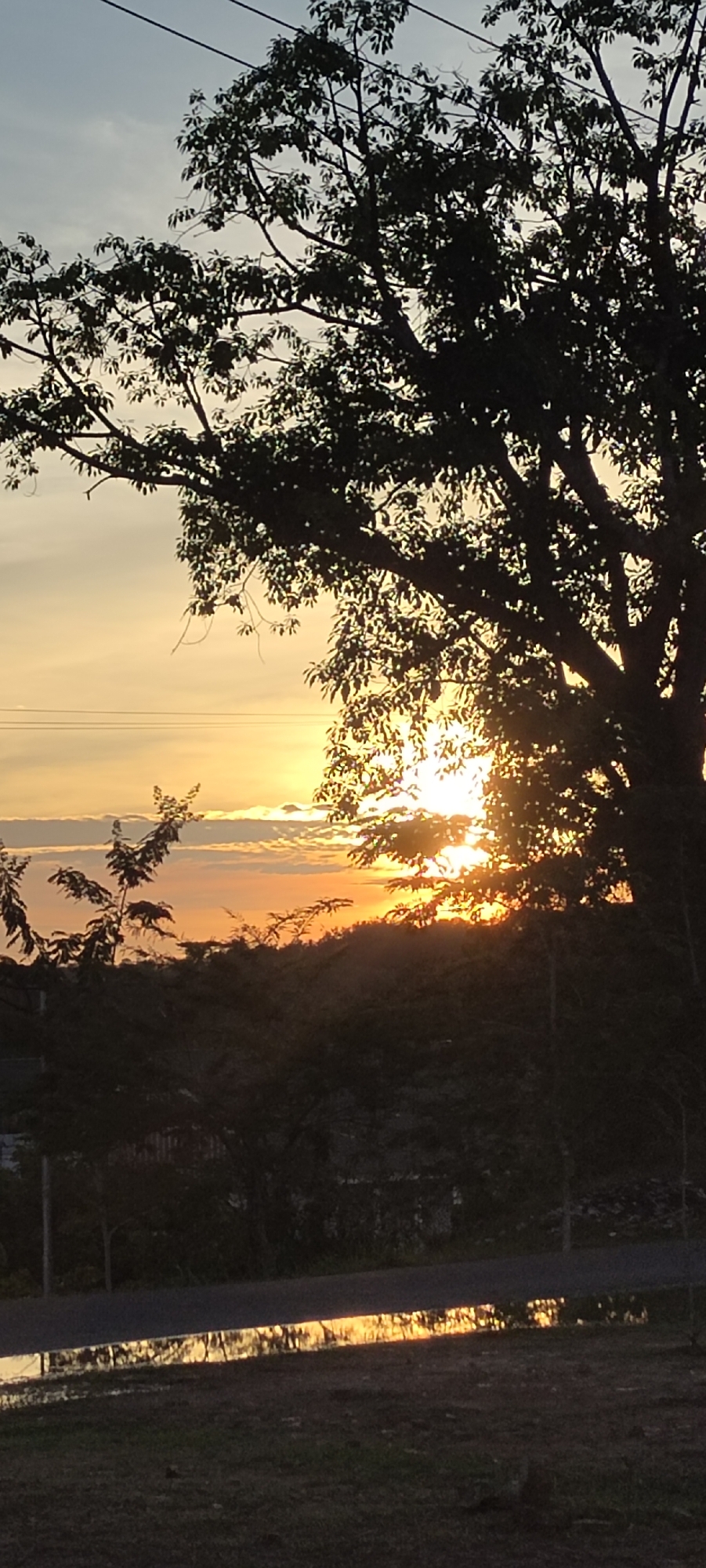 The image captures a sunset scene in Lhokseumawe, Indonesia. The sun is positioned near the horizon, partially obscured by clouds, and framed by the silhouette of a large tree in the foreground. Power lines stretch across the upper portion of the sky. Below the tree, there are other trees and vegetation that also appear as a dark silhouette. On the ground, a puddle reflects the golden light of the setting sun. The foreground also shows what seems to be a paved pathway or road with a grassy area in the front.