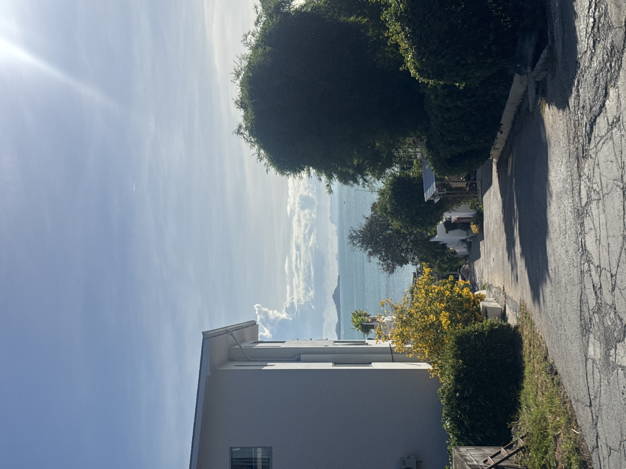 A downward sloping paved road leads towards a body of water and distant islands under a bright, sunny sky with wispy clouds. On the left, a white, multi-story building with windows runs along the side of the road. A bright yellow flowering bush is visible in front of the building, next to a dense green hedge. On the right, a large, dark green, leafy tree dominates the foreground, with more hedges lining the side of the road. A small, open-air structure with a sloped roof is visible further down the road. The road surface is cracked and worn, with patches of grass growing along the edges. The overall scene appears to be in a coastal residential area.