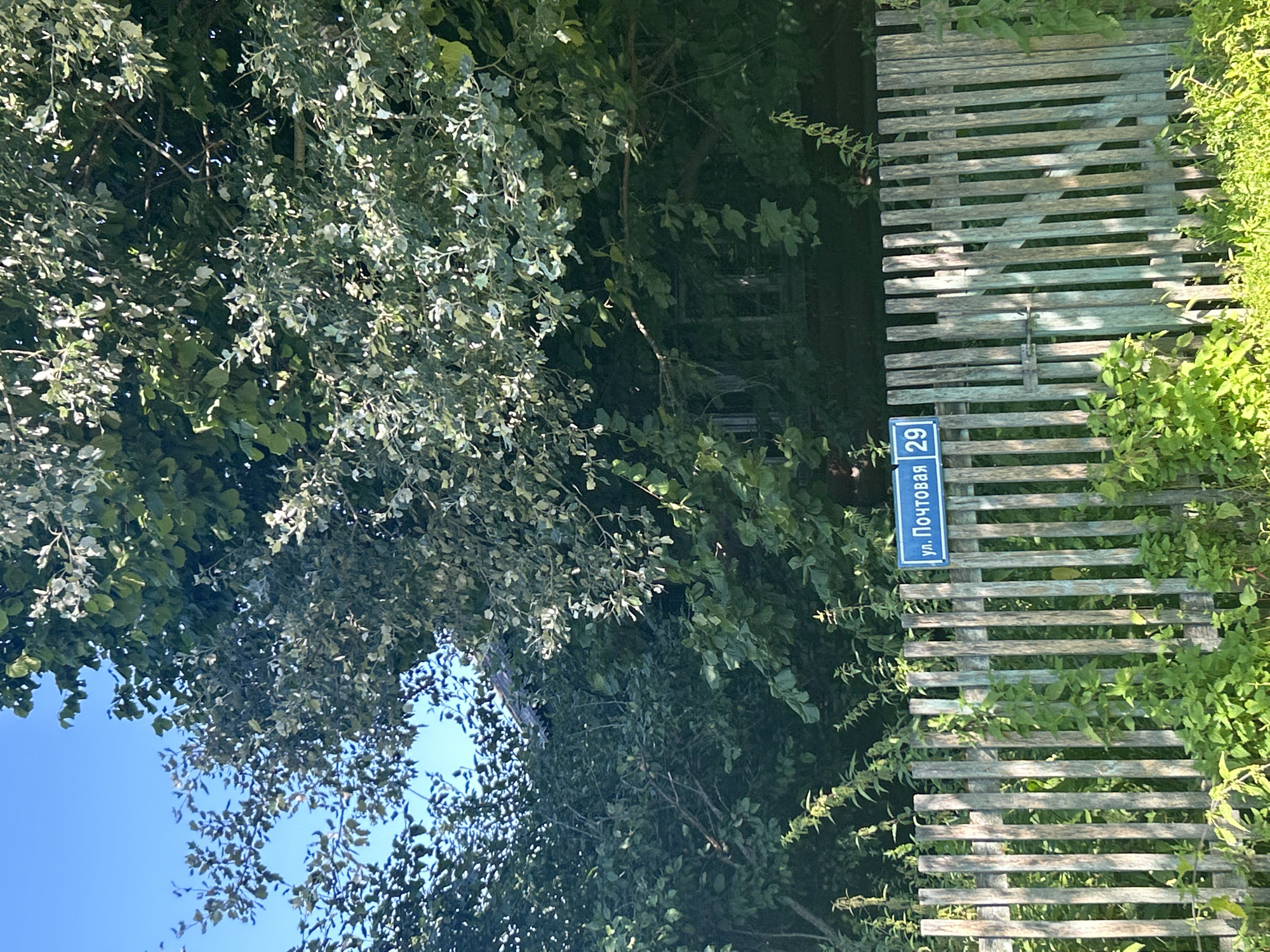 A weathered, light blue street sign reading "ул. Почтовая 29" (Pochtovaya Street 29) is affixed to a light green wooden picket fence in the village of Kalitsino, Russia. The fence, constructed of vertical wooden planks, shows signs of age with some discoloration and unevenness. Lush green vegetation grows densely around the fence, with some plants reaching up and over the wooden pickets. Behind the fence, obscured by thick foliage, is the dark facade of a building, possibly a house, with what appears to be a window visible through the leaves. The upper portion of the image is dominated by the dense green canopy of trees with sunlight dappling through the leaves. The sky above is a clear, bright blue.