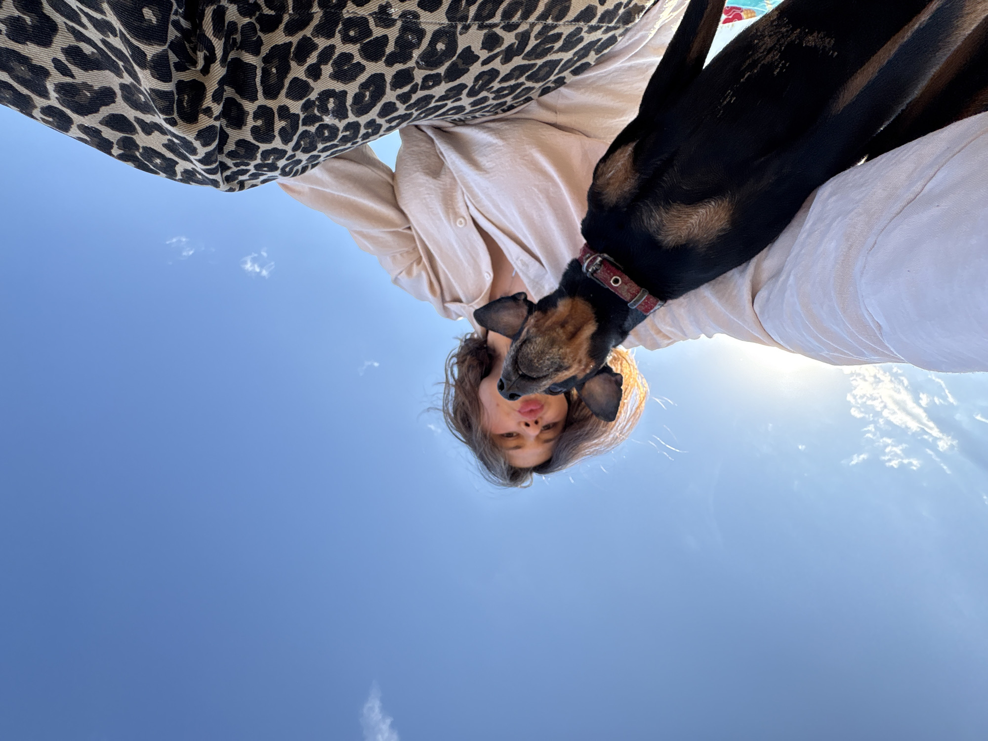 A woman with brown hair stands in an outdoor area under a clear blue sky, partially obscuring the view with a downward angle shot. She is dressed in a light beige, button-up shirt. A black and tan dog with a red collar is near her face, seeming to nuzzle or kiss her. Above her, a garment with a leopard print pattern is visible. The scene is sunny and bright with a few wispy clouds. The location is the city of Chaikovsky, Russia.