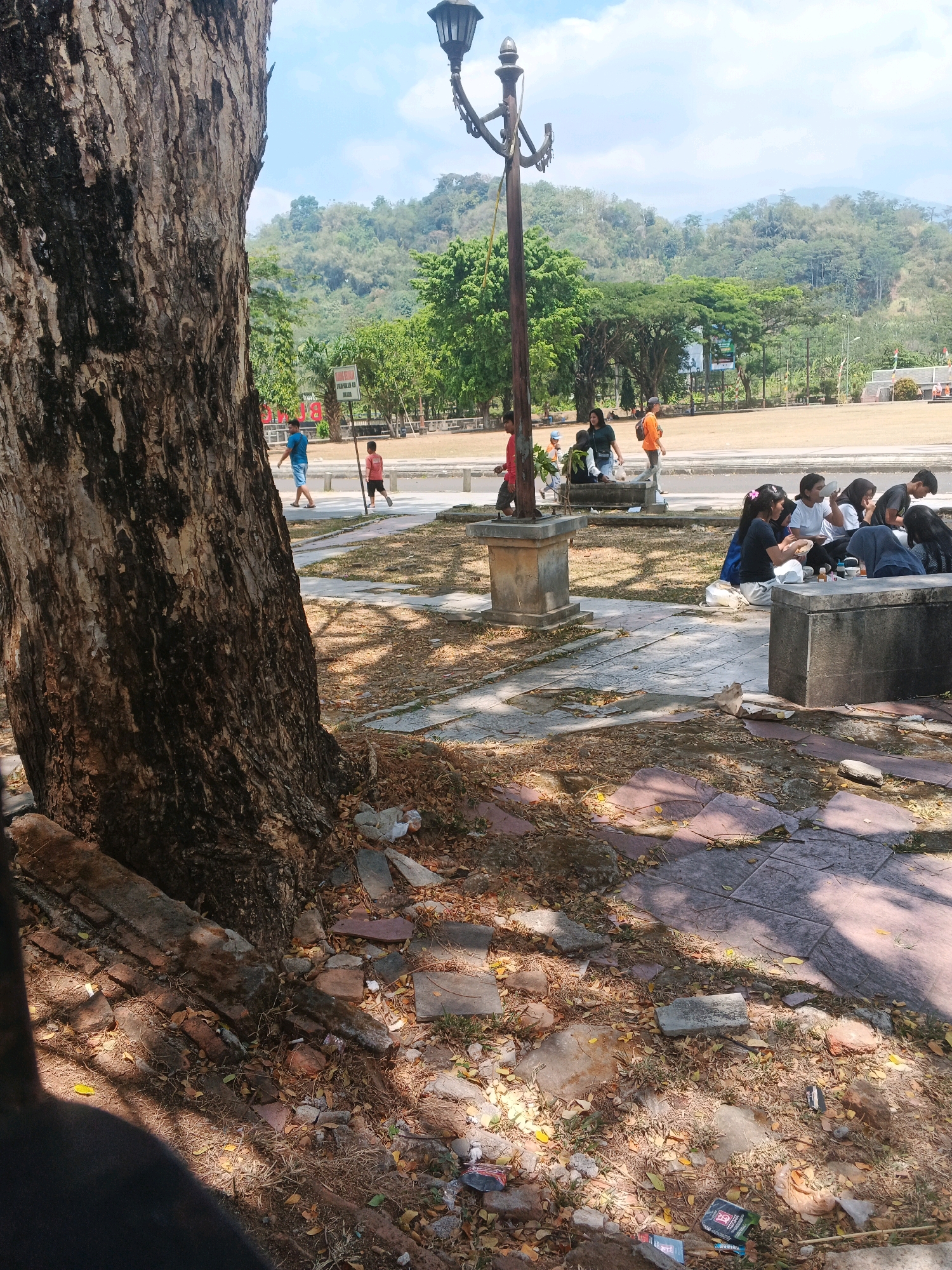 A medium shot captures a park scene with a prominent tree trunk on the left, partially obscuring a lamppost, and a group of people gathered in the background. The ground is covered with fallen leaves and scattered debris, with paved pathways and stone seating areas visible. In the mid-ground, a group of young women are seated on the ground near a stone bench, engaged in conversation. Further back, a few individuals are walking across a paved area. The background reveals a field with trees and hills, suggesting an outdoor recreational space in Kalirejo, Indonesia. The lighting indicates a bright, sunny day.