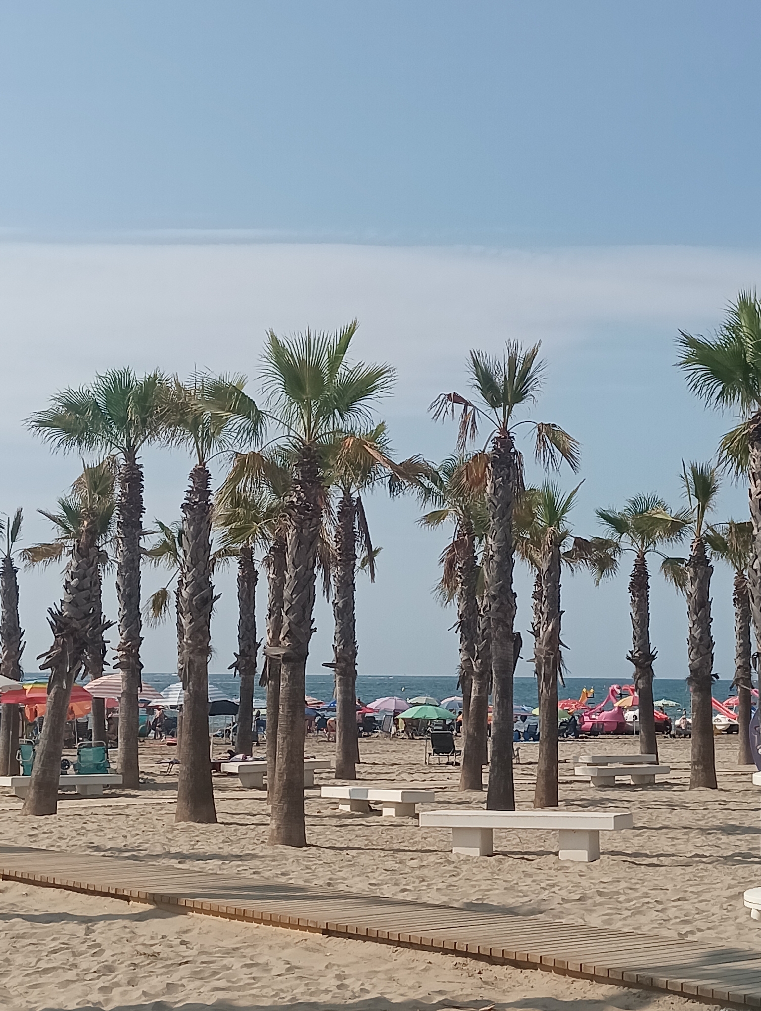 This image depicts a beach scene at La Playa, Spain. In the foreground, a wooden boardwalk is laid across the sandy beach. Several white concrete benches are strategically placed on the sand. A dense cluster of palm trees dominates the midground, with their trunks varying in height and texture. Beyond the palm trees, the beach continues with scattered beach umbrellas and some beachgoers. The sea is visible in the distance, under a hazy sky. There are inflatable toys, including a pink flamingo, visible on the beach. The scene appears to be during daytime, with clear weather.