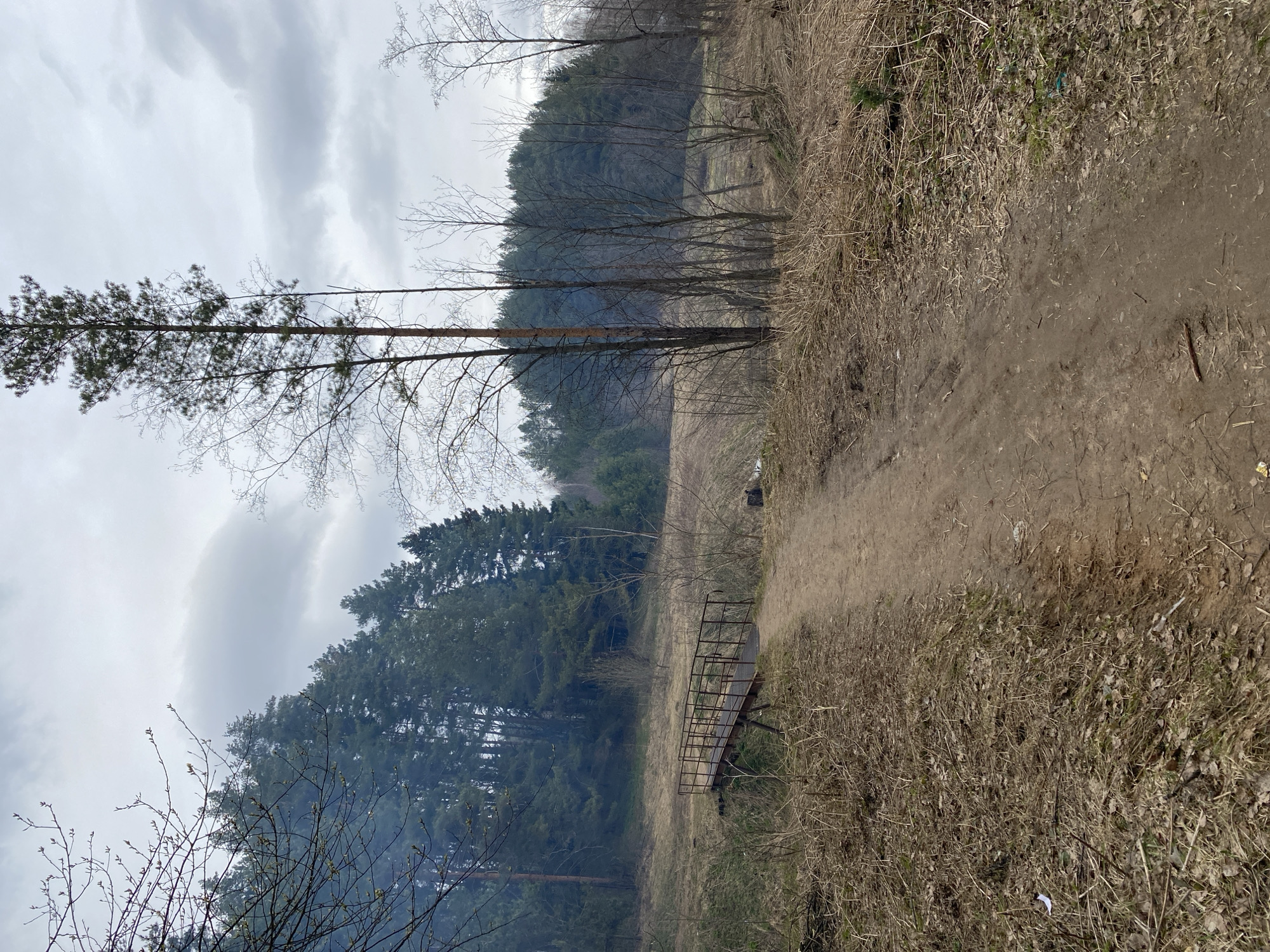 The image depicts an outdoor natural scene, likely on the outskirts of a forest or woodland area, in Chaikovsky, Russia. The sky is overcast with light grey clouds, suggesting a cloudy day.
A well-trodden dirt path runs along the right side of the frame, gradually receding into the distance. The ground adjacent to the path and extending throughout the foreground and mid-ground is covered with dry, brownish grass and fallen leaves, indicating either early spring before new growth, or late autumn.
The left side of the image is dominated by a dense forest, primarily composed of tall coniferous trees (pines) with dark green foliage. Interspersed among these and in the mid-ground are several deciduous trees with bare branches, some showing very early signs of budding.
In the mid-ground, a simple, low metal bridge with an open framework railing crosses a narrow gully or low-lying area, connecting the drier ground to the denser forest.
Faint wisps of white smoke are visible emerging from among the trees in the lower-left portion of the forest, suggesting a small fire, possibly a campfire or a controlled burn.
No people or animals are visible in the scene. There is no visible text. The overall impression is one of quiet nature, characteristic of a transitional season like early spring or late fall in a temperate climate.