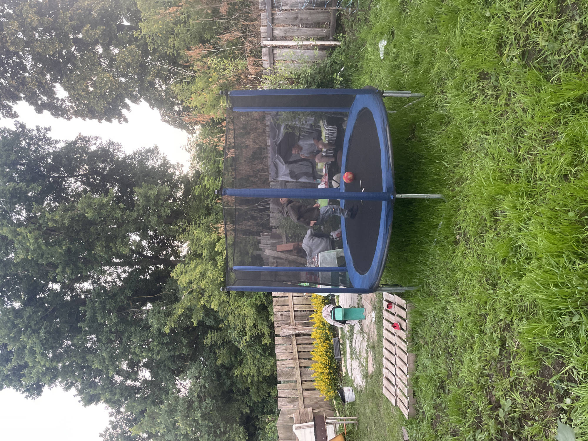 This media file depicts an outdoor scene in a backyard, likely in Laishevo, Russia. The central focus is a blue and black trampoline with a safety net enclosure. Inside the trampoline, several people are visible, appearing to be engaged in a casual gathering. One person is seated, holding what looks like a plate or bowl, and another is visible in the background. A red ball is also present on the trampoline mat.
The trampoline is set on a patch of green grass. Surrounding the trampoline are various elements that suggest a lived-in, somewhat rustic backyard environment. To the left and in the background, there are tall trees with dense green foliage, indicating it is likely summer or late spring. Behind the trampoline, a weathered wooden fence runs horizontally across the scene. To the right of the trampoline, there are wooden pallets arranged on the ground. A green bin and some yellow flowering bushes are also visible near the fence.
The lighting suggests it might be late afternoon or early evening, with soft light filtering through the trees. The overall atmosphere appears relaxed and informal. There is no visible text in the image.