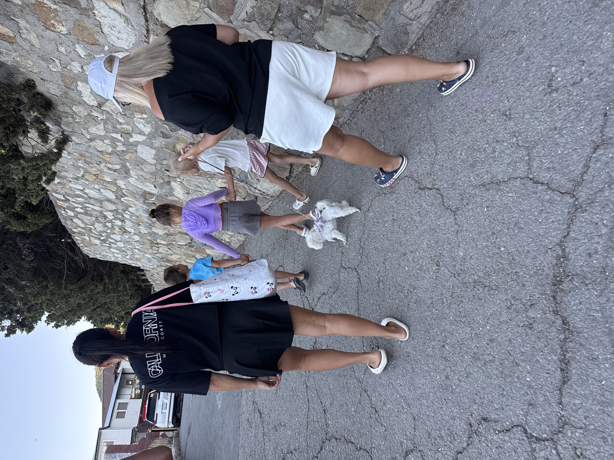 In Partenit, Ukraine, a group of four people, two adults and two young children, walk along a paved street lined with a stone wall and trees. A small white dog on a leash accompanies them. The street shows signs of wear with cracks and uneven surfaces. In the background, buildings are visible, suggesting a residential or commercial area. The sky is clear and appears to be late afternoon or early evening.