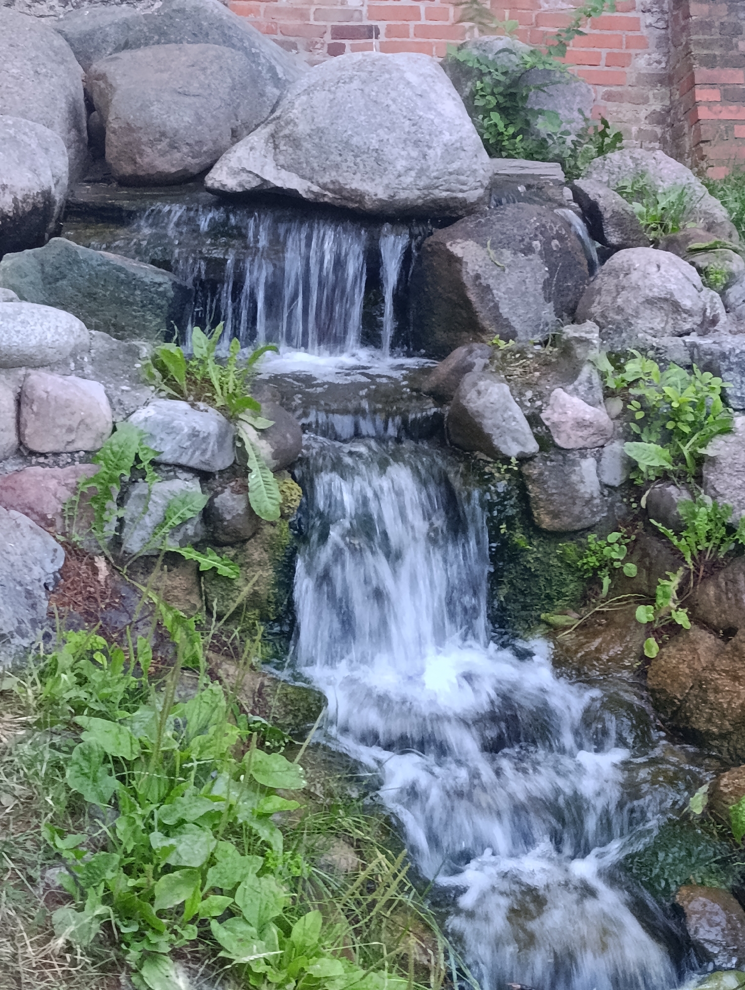 The image depicts a tiered rock garden with water cascading down in two distinct sections. Large, grey, rounded stones form the structure of the garden. Lush green vegetation, including grass and broad-leaved plants, grows in and around the rocks. The water flows rapidly, creating a frothy effect at the bottom. In the background, a brick wall is visible, suggesting an outdoor setting. The scene is captured in daylight with natural lighting. There are no people or animals present in the image. This rock garden with a waterfall is located at the Jordan Garden in Toruń, Poland.