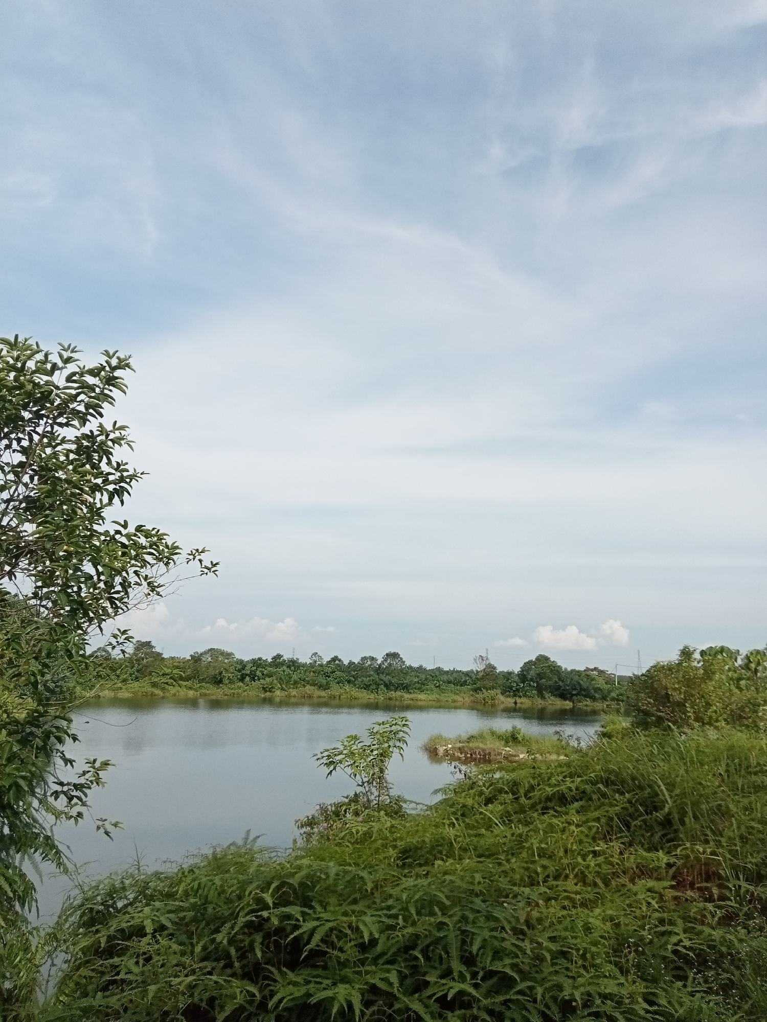 The image depicts a serene natural landscape by a body of water, likely a lake or a wide river, under a partly cloudy sky. In the foreground, lush green foliage, including ferns and leafy branches, partially obscures the view of the water. The water itself appears calm and reflects the muted tones of the sky. Across the water, a dense line of trees forms the horizon, with a small, vegetated island visible in the middle distance. In the far background, hints of human infrastructure, such as power lines and possibly buildings, can be discerned through the trees, suggesting proximity to a populated area. The overall impression is one of natural tranquility, with subtle indications of civilization encroaching on the wilderness. The specific location in Kualu, Indonesia, is not visually evident from the image itself, but it is described as a natural setting within or near the city.