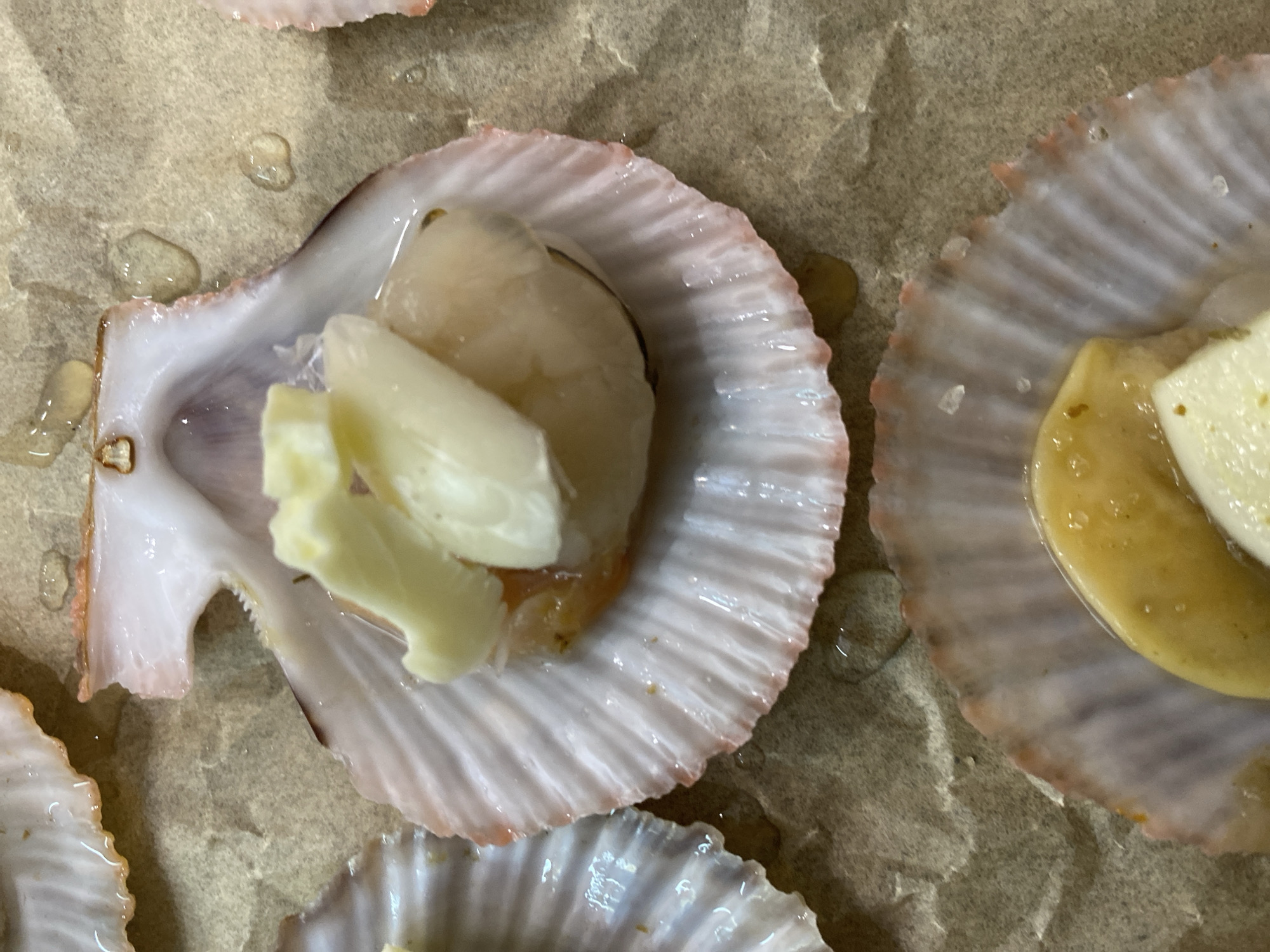 This is a close-up, overhead shot of scallops in their shells, prepared for cooking. The scallops are pinkish-white and plump, topped with glistening chunks of butter. The shells are a pale, iridescent pink and white, with a ribbed texture. They are resting on a piece of parchment paper, which appears slightly damp. Several drops of liquid are visible on the paper, suggesting the scallops have been recently handled or are being prepared with a liquid component. In the foreground, another scallop shell is visible, also containing a scallop and what appears to be butter and a yellowish liquid. The lighting is bright, highlighting the textures and moisture on the food. There is no visible indication of the city of Novorossiysk, Russia.