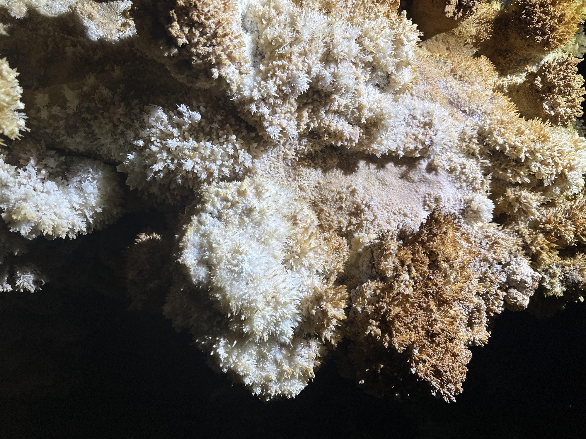 The image shows a close-up of aragonite formations in a cave. The formations consist of clusters of needle-like crystals, ranging in color from white to light brown. The background is dark, suggesting a dimly lit environment. The location is likely a cave system in or near Belo pole, Bulgaria, given the reference to the city.
