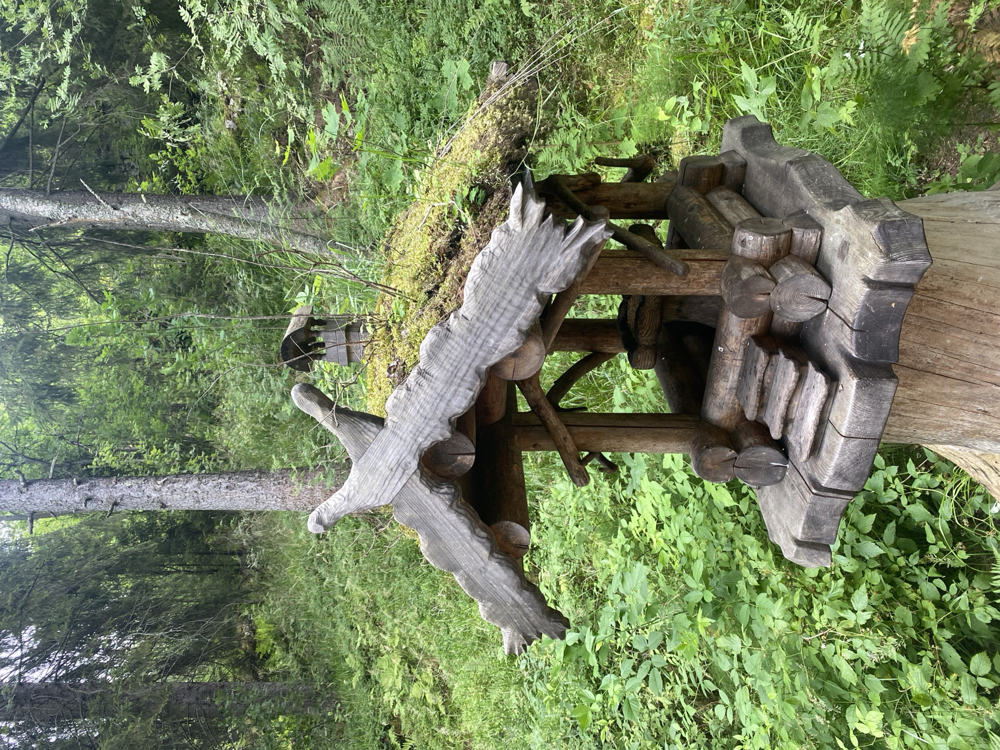 The image depicts a charming, handcrafted wooden structure in a lush, green forest setting, likely a birdhouse or feeding station. It is placed on top of a thick, rough-hewn wooden post, which in turn stands on the forest floor. The structure itself is intricately designed, featuring a tiered roof made of carved wood, possibly resembling feathers or wings. Below the roof, there is an open-sided enclosure with smaller wooden elements that suggest platforms or perches. Steps lead up to one of these levels. The base of the structure is also made of wood, with a scalloped edge. Surrounding the wooden post and the structure is abundant vegetation, including various green plants, ferns, and moss growing on a fallen log behind the main object. The background is filled with dense forest foliage, with tall trees creating a canopy overhead. The lighting suggests an overcast day or dappled sunlight filtering through the trees. The overall impression is one of a rustic, natural, and somewhat whimsical decoration integrated into the forest environment. This location appears to be a natural area, possibly a park or a trail within the city of Lakhdenkiulya, Russia, given the context of the request.