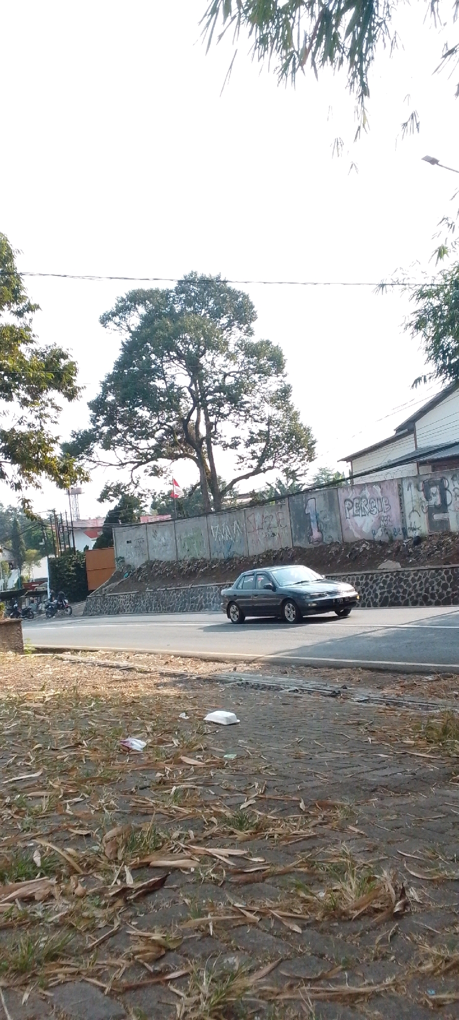 The image depicts a street scene in Cilaku, Indonesia. A dark-colored sedan is driving on a paved road, moving from left to right. Behind the road, there is a concrete wall covered in graffiti. A large tree with lush green foliage stands prominently behind the wall. To the left of the tree, a red and white flag is visible, potentially the Indonesian flag. Further to the left, there are buildings and some motorcycles parked. The foreground of the image shows a dirt and paved area with dry leaves and some white plastic objects, suggesting litter. The sky is bright and appears to be daytime.