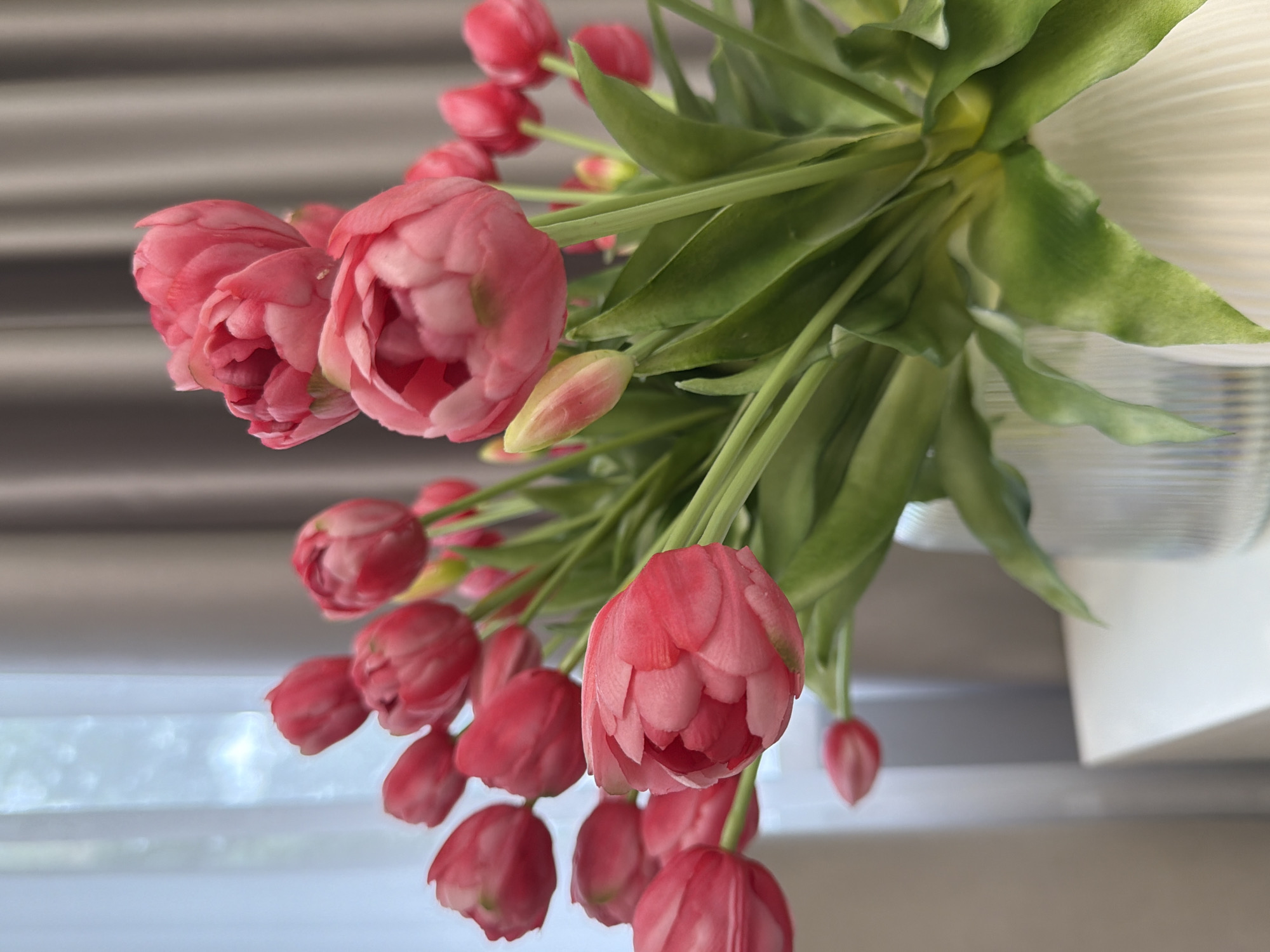 A close-up shot captures a bouquet of pink double tulips arranged in a ribbed glass vase, placed on a white surface. The tulips, varying in bloom, display ruffled petals in shades of pink and magenta, with some buds still closed. Lush green leaves and stems support the flowers, some of which are tinged with yellow. In the background, soft, out-of-focus light filters through sheer white curtains on the left, and a gray curtain drapes on the right. The scene is devoid of any people or discernible actions. The image's details suggest an indoor setting, possibly a home or office, with no specific markers to pinpoint its location within Kazan, Russia.