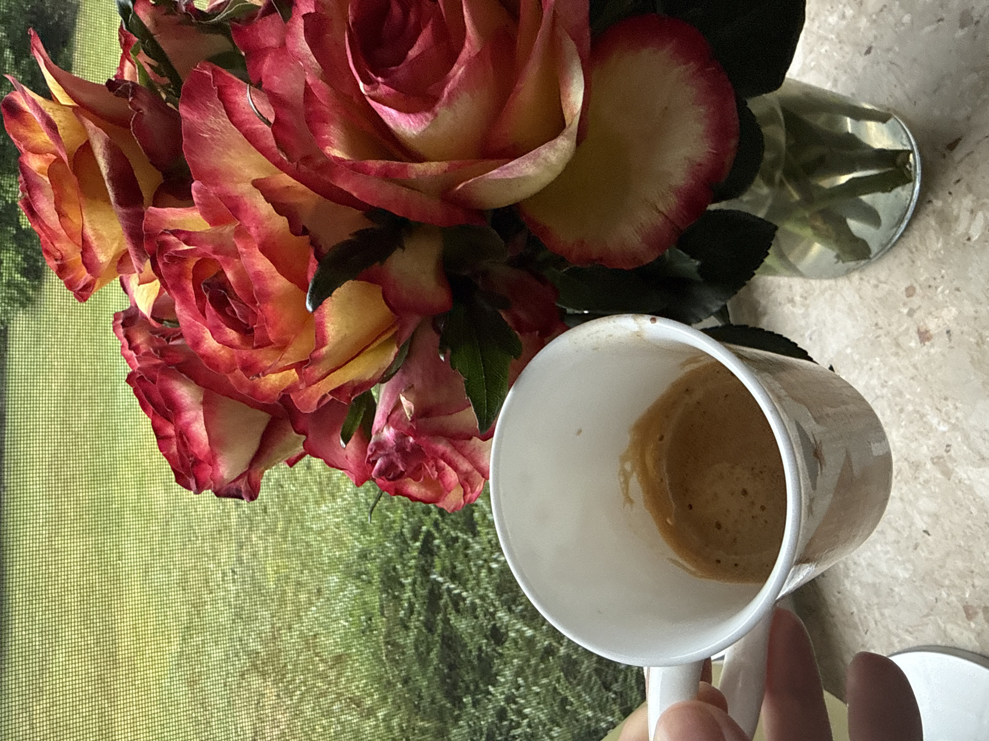 A close-up, slightly upward-angled shot shows a white ceramic coffee mug with a light brown abstract design being held by a person's hand. The mug is about a third full with espresso, topped with a crema foam. To the right of the mug, a bouquet of bi-colored roses, red and yellow, is displayed in a clear glass vase filled with water and stems. The roses are the focal point, with their layered petals and vibrant hues. In the background, out of focus, is a green grassy area with what appears to be a window screen in front of it, suggesting an indoor setting near a window with a view of the outdoors. The scene is set on a speckled beige countertop. No specific location in Bad Sachsa, Germany is identifiable.