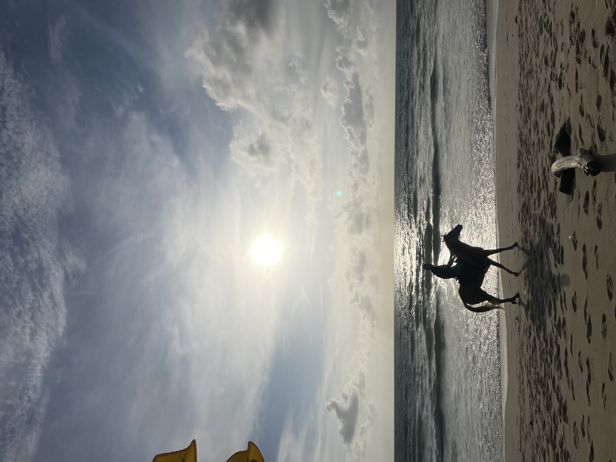 The image shows two horses running on a beach in Choeng Thale, Thailand, at what appears to be sunset. The sky is filled with clouds, and the sun is shining brightly. A piece of driftwood lies on the sand. Yellow objects are visible in the lower left corner. The waves are reflecting the sunlight.