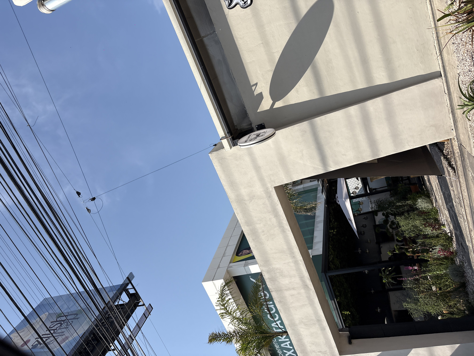 An upward-angled, tilted photograph captures a modern urban landscape in San Bernardino Tlaxcalancingo, Mexico, under a clear, bright blue sky. The scene is dominated by contemporary buildings with concrete and glass elements, bathed in strong, direct sunlight that creates long, sharp shadows, suggesting either early morning or late afternoon.
On the left, numerous black electrical wires crisscross the sky, forming a dense web. Further down on the left, part of a large billboard is visible, showing the partial text "GANAD". In the upper left corner, there are a few small, distant colored specks against the blue sky.
A prominent, light-colored concrete building with stark, angular architecture occupies the mid-ground and right side of the frame. On one of its facades, a circular sign is affixed, featuring a graphic and some illegible text. Another building, partially obscured by the concrete structure, displays a large banner or sign that reads "XAR FACIO" with "Experience" below it, and a face on a yellow background above.
Through large glass windows or an open area of one of the buildings, an outdoor setting is visible. This area contains lush green plants, possibly a garden or planters, along with a white outdoor umbrella and what appears to be patio furniture, suggesting an outdoor dining or lounge space. Palm fronds are also seen peeking into the frame from various points. No human activity is directly visible.