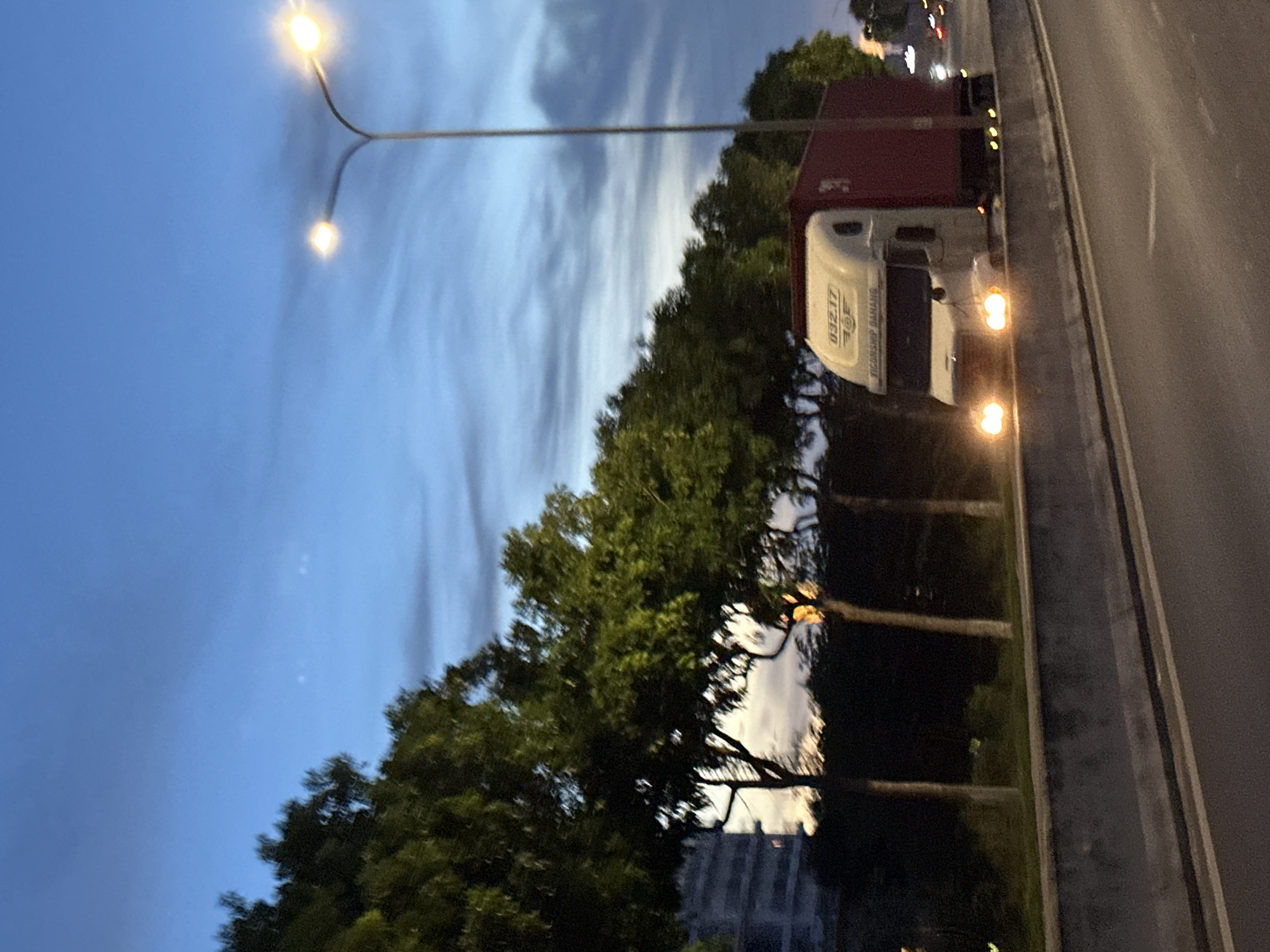 At dusk, a white semi-trailer truck with a red cargo container is driving on a highway in Đà Nẵng, Vietnam. The truck has the numbers "032.17" and "VIGORSHIP DANANG" written on its side. The sky is a twilight blue with wispy clouds. There are streetlights on tall poles, one of which is in the foreground, illuminating the scene. A line of trees with green foliage borders the highway, and a building is visible in the distance behind the trees. The road surface is asphalt, with clear lane markings.