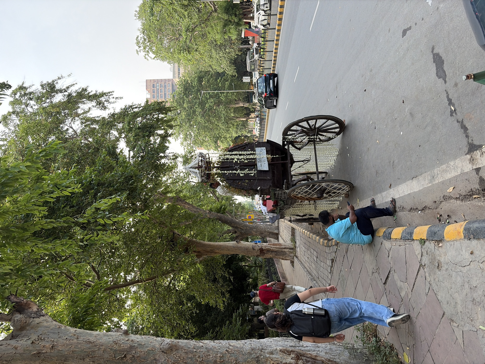 In this wide shot, an ornate horse-drawn carriage, adorned with white flowers and greenery, is parked on the side of a street in New Delhi, India. The carriage has large spoked wheels and a decorative canopy. The scene appears to be set during the daytime, with bright lighting suggesting it could be late morning or early afternoon. The weather seems clear and fair.
Several people are present in the image, interacting with the environment. In the foreground, a person wearing a black backpack and blue jeans is walking away from the camera, facing a large tree trunk. Further down the sidewalk, another person in a red shirt and light-colored pants is looking towards the carriage. On the street itself, a person in a blue t-shirt and dark pants sits on the curb, looking at their phone. Another person in a white shirt is visible near the carriage.
The street is paved with asphalt and marked with white lines. A distinctive yellow and black striped curb separates the street from the patterned brick sidewalk. Trees line the sidewalk, providing shade, and in the background, modern buildings are visible, suggesting an urban setting. There is a traffic light in the distance, and other vehicles are present on the road, including cars and what appears to be a motorcycle.
The overall impression is a snapshot of everyday life on a busy street, with a touch of tradition represented by the horse-drawn carriage. The people seem relaxed, engaged in their own activities, with no overt signs of distress or excitement.