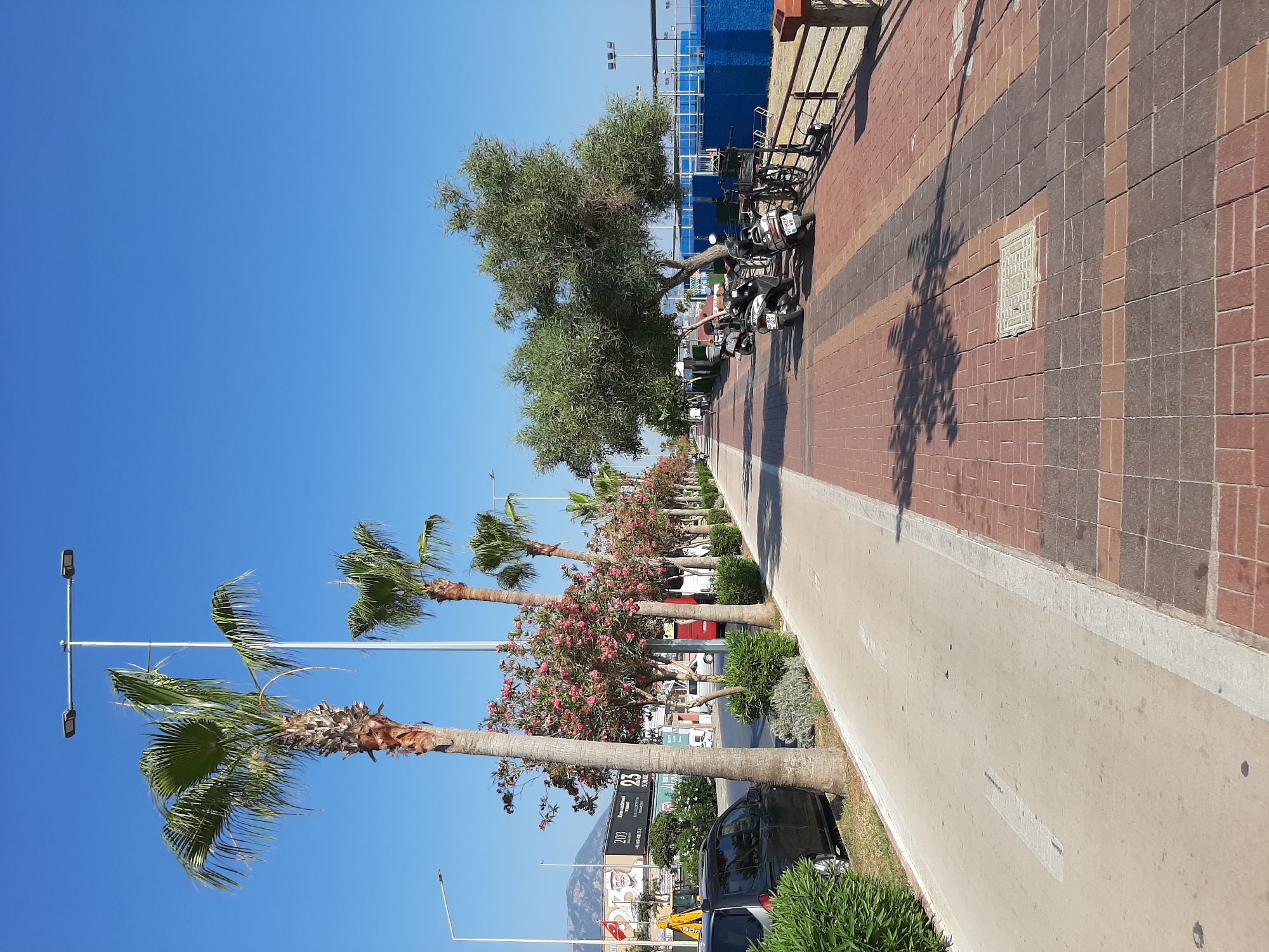 The image depicts a pedestrian and bicycle path along the coastline in Alanya, Turkey. The scene is bathed in bright sunlight under a clear blue sky. On the left, a paved pedestrian/bicycle path runs parallel to a road lined with palm trees and flowering bushes. A black car is parked to the left of the path, partially obscured by lush green foliage. Further down the road, a yellow construction vehicle, a red bus, and various buildings are visible.
To the right of the pedestrian path is a walkway paved with red and brown bricks. A line of parked motorcycles and a bicycle are visible along this brick pathway. A large, leafy tree casts a shadow across the brickwork. Beyond the brick pathway, a metal fence separates the walkway from a blue-fenced court, likely a sports facility, and a sandy area. Streetlights are positioned along the pathway, suggesting the area is illuminated at night. The overall impression is one of a well-maintained coastal promenade in a vibrant city.