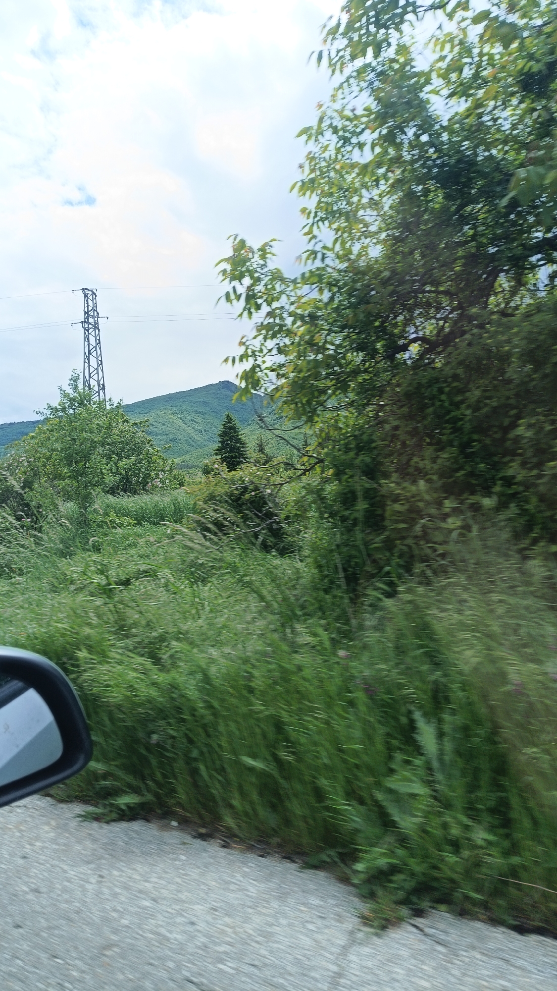The image, taken from a moving vehicle, depicts a landscape in Gornoslav, Bulgaria. The view includes a grassy roadside in the foreground and a passing asphalt road. In the middle distance, there is a hillside covered in green trees and vegetation. A power transmission tower is seen on the left side of the hillside. In the background, a mountain range is visible against a cloudy sky. A portion of the vehicle's side mirror is visible in the lower left corner.