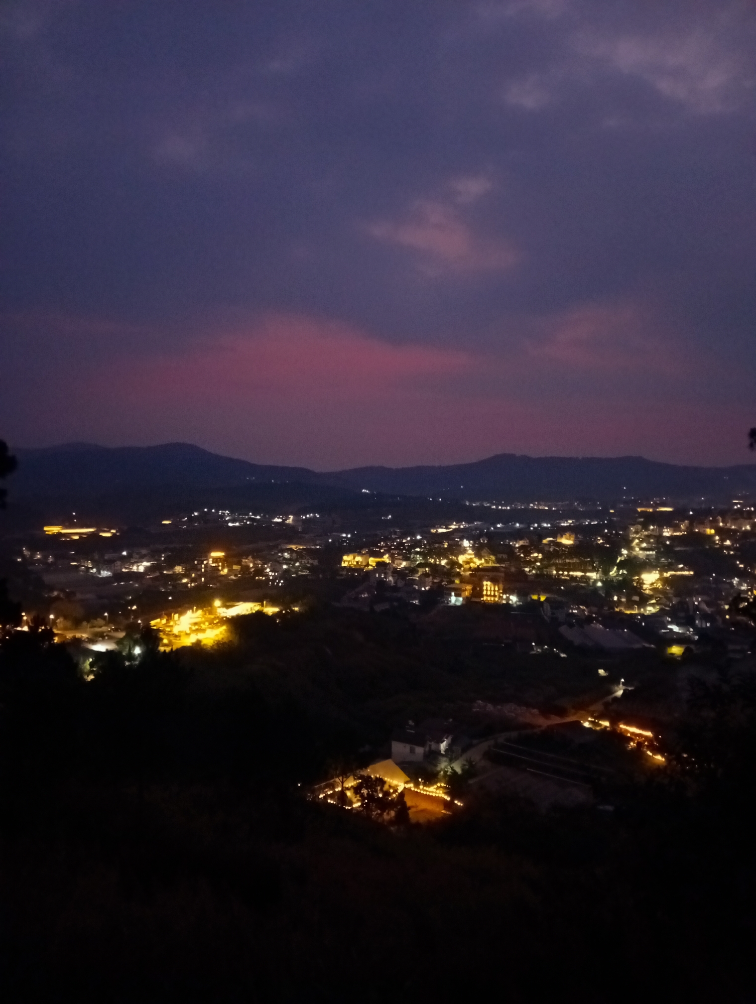 The image depicts a nightscape of Da Lat, Vietnam, from an elevated vantage point. The sky is a deep purple with some hints of pink near the horizon. Silhouetted hills or mountains are visible in the distance. The cityscape is illuminated by numerous yellow lights, indicating buildings, streets, and possibly vehicles. The foreground is dominated by dark foliage or terrain, obscuring details below. The illumination suggests a residential or urban area with active nighttime activity.
