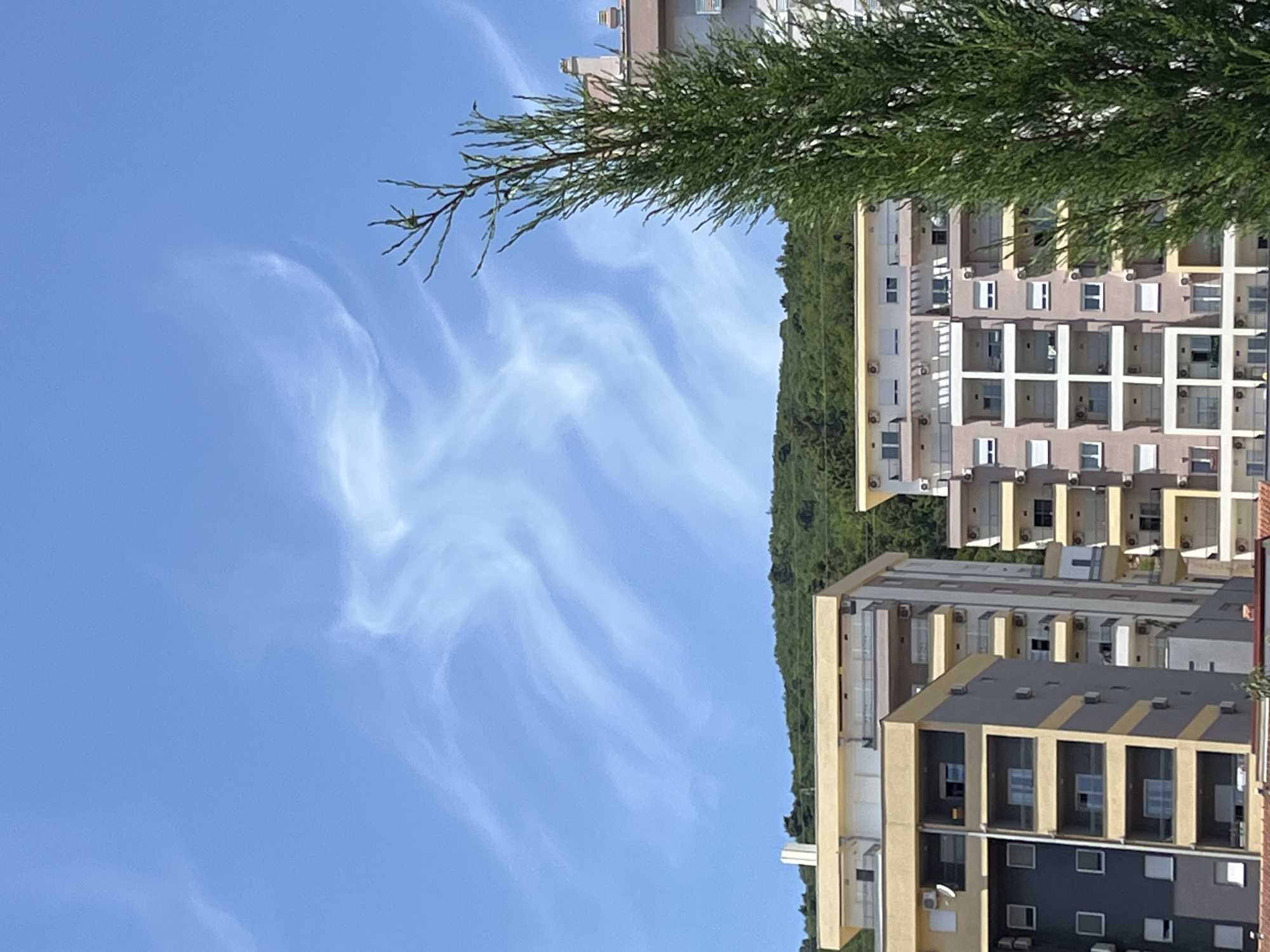 The image shows a clear blue sky with wispy cirrus clouds, indicating fair weather conditions. Below the sky, a lush green hillside slopes down, with trees and vegetation covering its surface. In the foreground, several modern apartment buildings are visible. The buildings are multi-story structures with balconies and windows. One building on the left is primarily gray with yellow accents, while the building in the center is a mix of beige and white. A tall, bushy green tree stands prominently in the right foreground, partially obscuring one of the apartment buildings. The scene appears to be an urban or suburban setting in Budva, Montenegro, likely during daytime given the bright sunlight. There are no people or animals visible in the image.