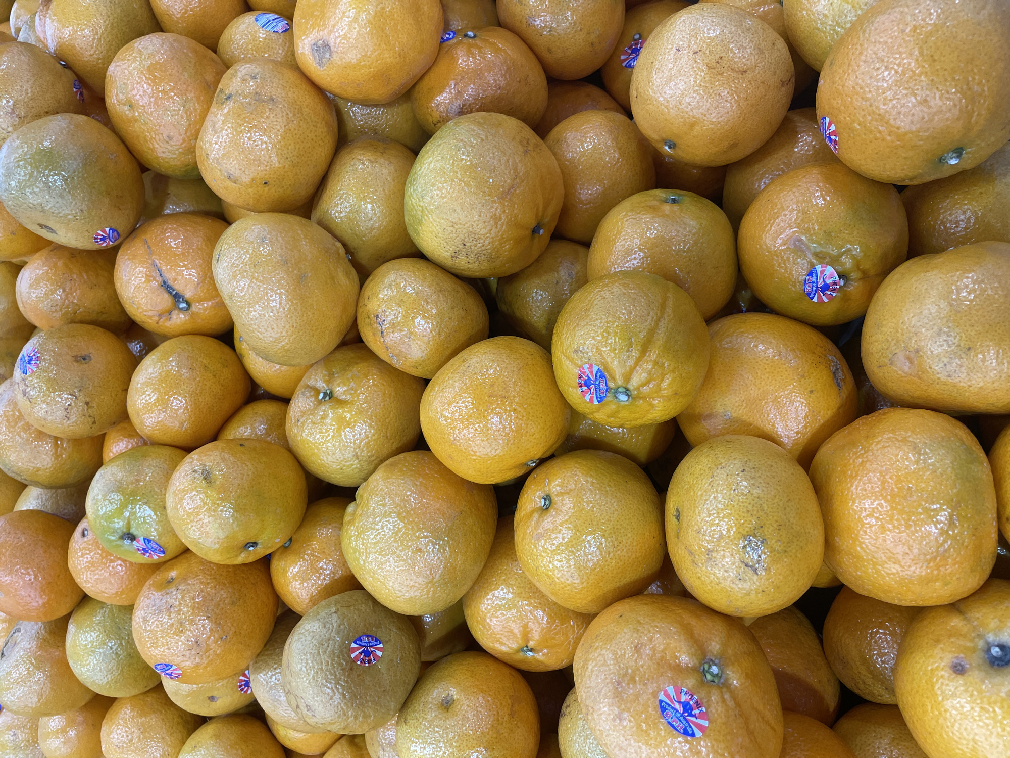 A close-up, overhead shot displays a large pile of fresh, orange-colored mandarins. The fruits are tightly packed, with some bearing small, circular stickers featuring a Union Jack flag. The skin of the mandarins appears slightly textured and glossy, suggesting they are ripe and possibly recently washed. No people are visible in the frame, and the background is entirely obscured by the abundance of fruit. The lighting is bright, casting soft shadows and highlighting the vibrant orange hues of the mandarins. This image appears to have been taken at a market stall or grocery store in Pattaya City, Thailand, where such produce is commonly displayed.