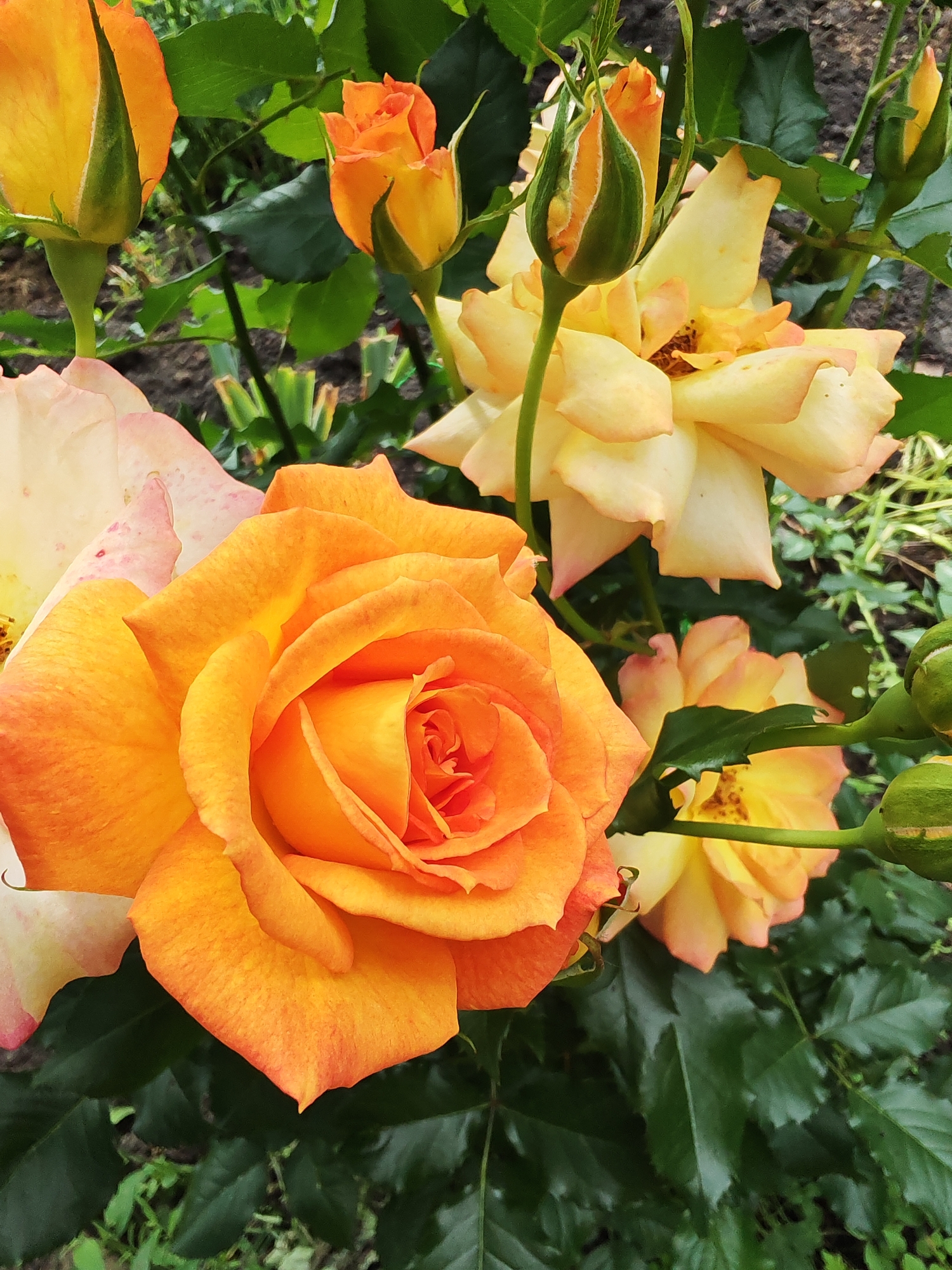 Memory
