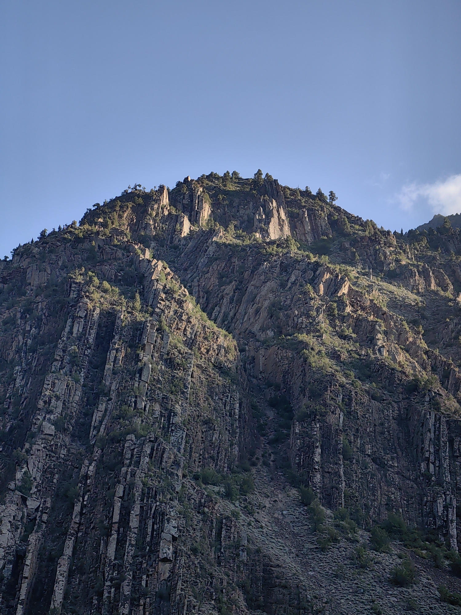 The image shows a close-up, low-angle view of a rugged, rocky mountain slope under a clear blue sky. The mountain is covered in a mix of dark, vertical rock formations and lighter, fractured surfaces. Sparse, green vegetation, appearing as small bushes and scattered trees, clings to the mountainside, particularly in the crevices and on ledges. The sunlight casts shadows, highlighting the dramatic textures and sharp edges of the rock. The sky is a uniform, pale blue with a hint of a wispy cloud on the far right edge of the frame. There are no people, animals, or man-made structures visible in the image. The scene depicts a natural, mountainous landscape. This image is not of Udaipur, India.